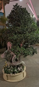 A bonsai tree with intricate, spiral trunk formations is placed in a round planter. The tree's leaves are dense and dark green, creating a lush and textured appearance. Around the base, smaller flowering plants add white blossoms, contrasting with the tree's bark. The setting appears modern, with a background featuring architectural elements like wood and metal beams.
