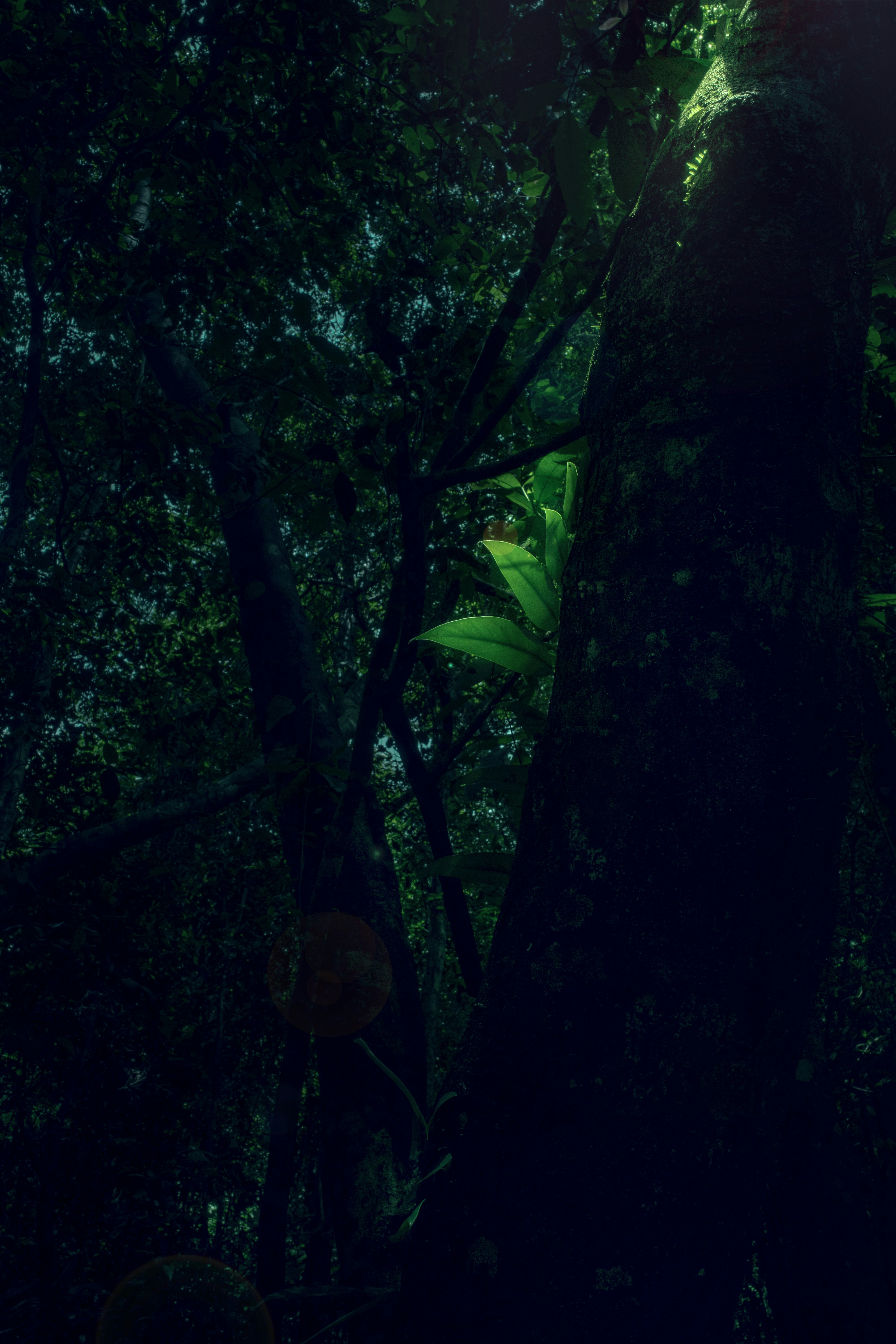 Photo by jangrawstudio