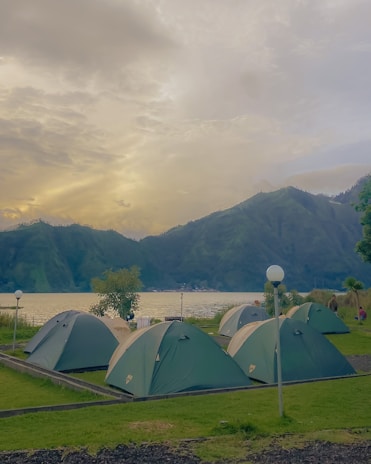 A vibrant scene of campers setting up tents near a serene lake surrounded by eucalyptus trees.