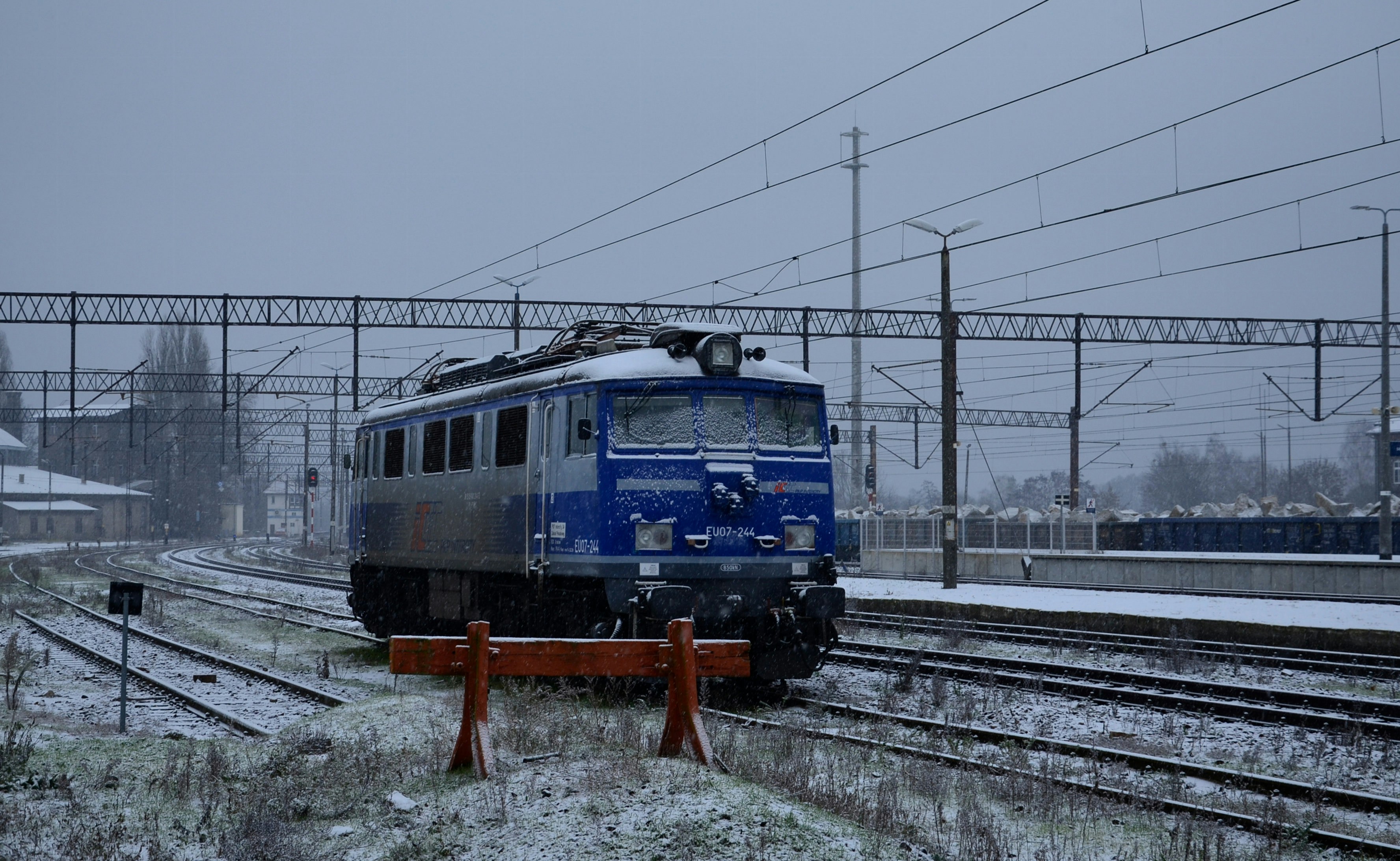 photo-1670821756733-b16c46a3b861?ixid=M3wxMjA3fDB8MXxzZWFyY2h8NHx8a290JUMzJUJBJUM0JThEb3YlQzMlQTElMjBwJUMzJUFEbGF8ZW58MHx8fHwxNzI5MTEwNDg0fDA\u0026ixlib=rb-4.0.3