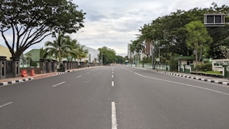 Wide road cutting through the plot area with clear signage and greenery on both sides.