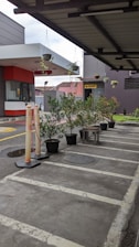 A parking area with potted plants lined up along one side, next to a sheltered walkway. There are overhead hanging plants under a modern structure with a small building entrance visible. Several orange and white traffic bollards are in place beside the plants.