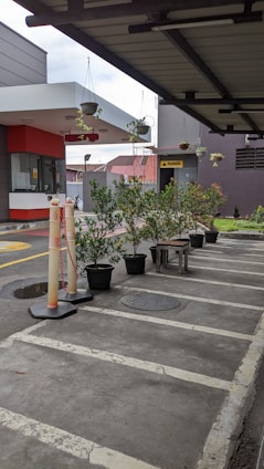 A parking area with potted plants lined up along one side, next to a sheltered walkway. There are overhead hanging plants under a modern structure with a small building entrance visible. Several orange and white traffic bollards are in place beside the plants.