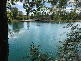 Wide shot of a wooded lot with a serene lake nearby.