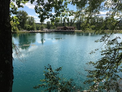 Wide shot of a wooded lot with a serene lake nearby.