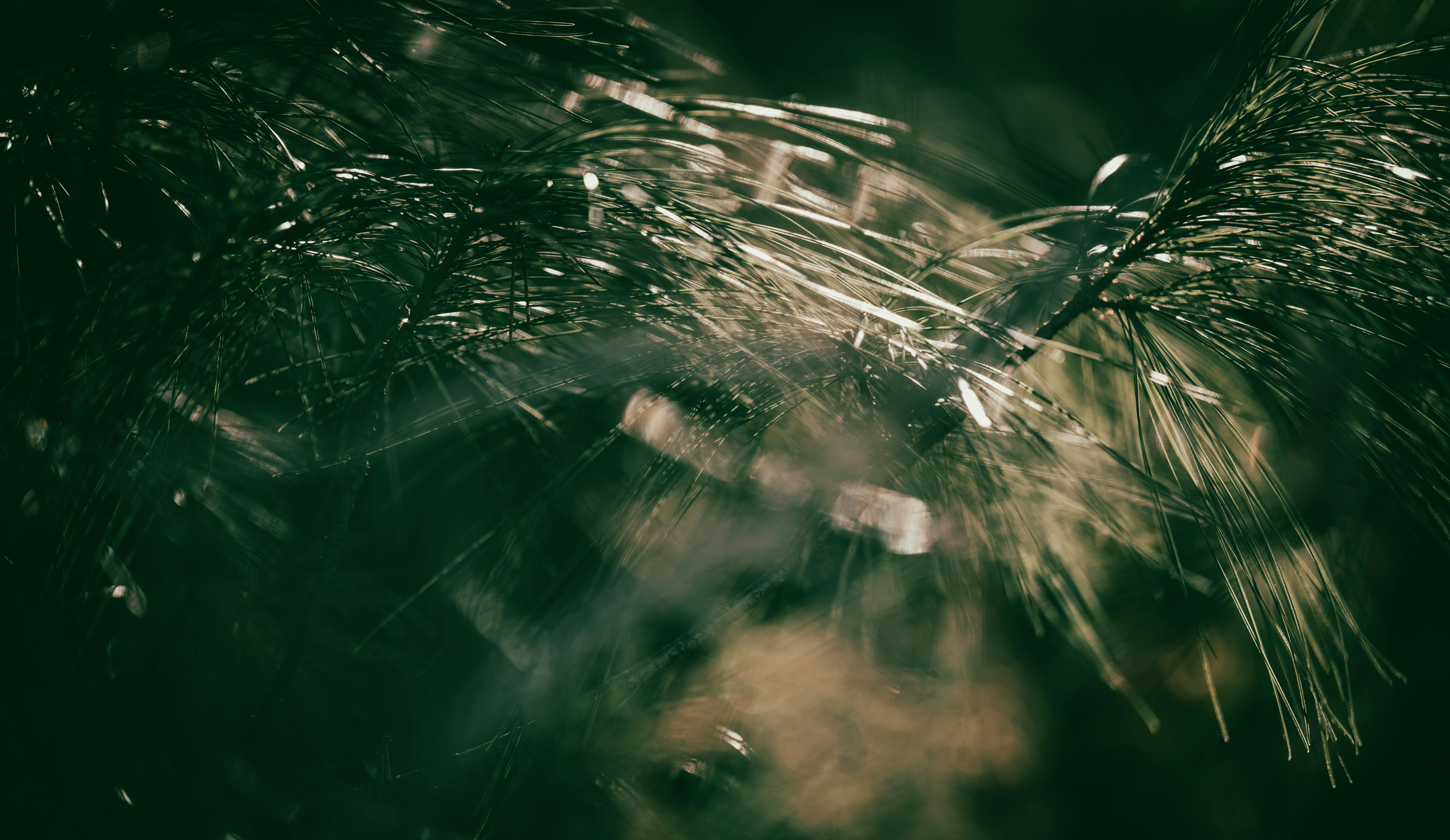 Photo by brett_yixuan