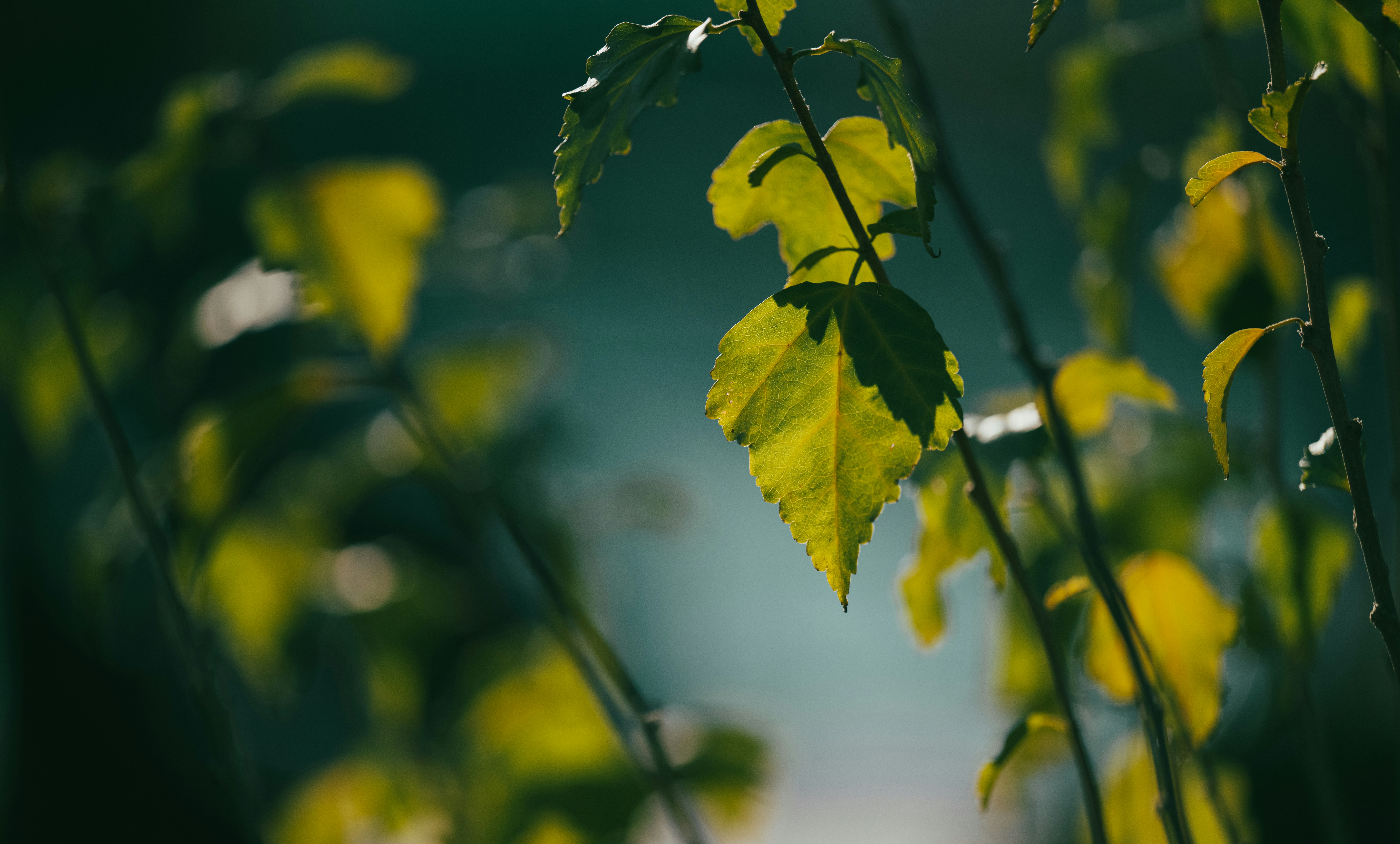 Dow plunges 600 points on bond surge