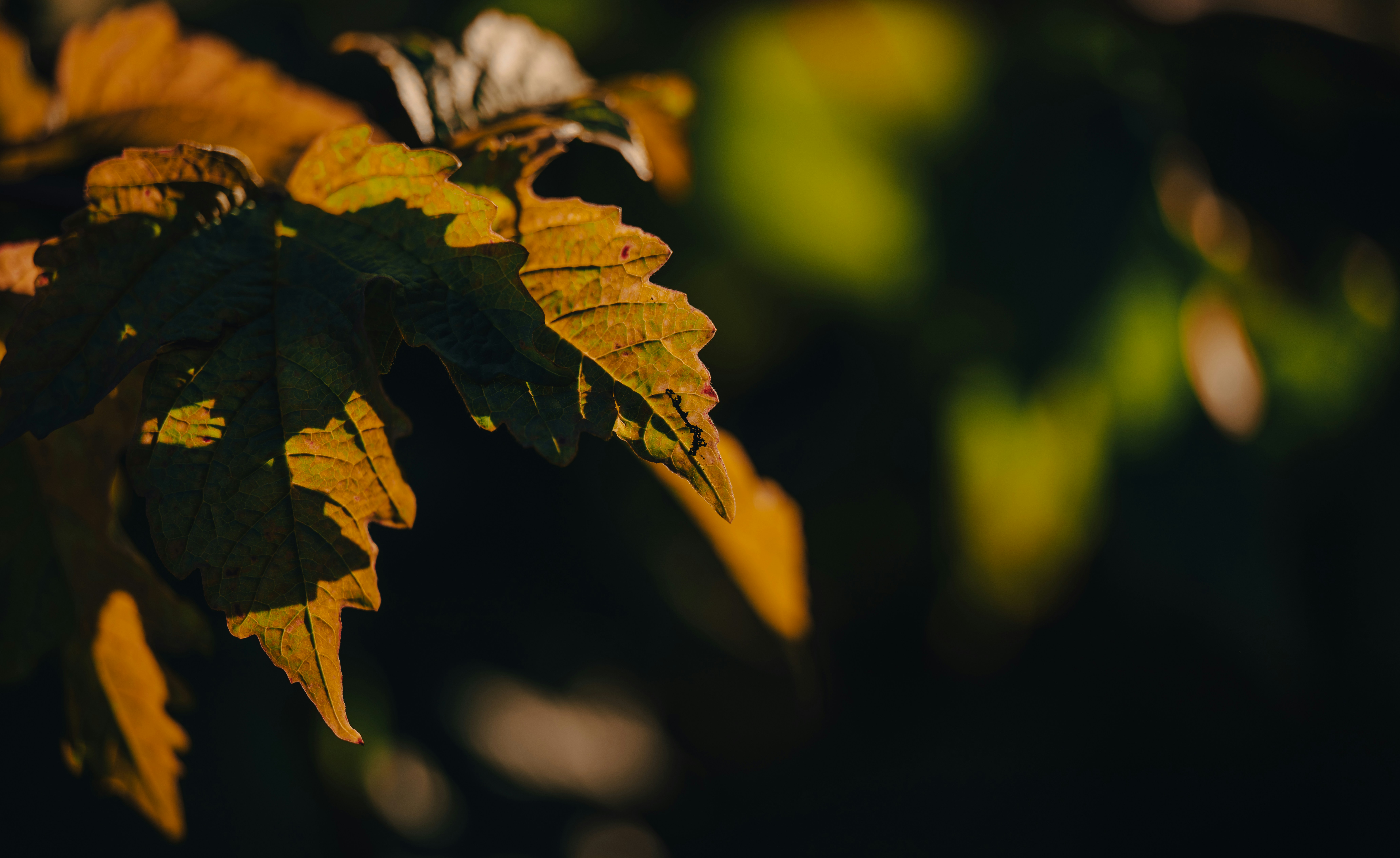 Photo by brett_yixuan