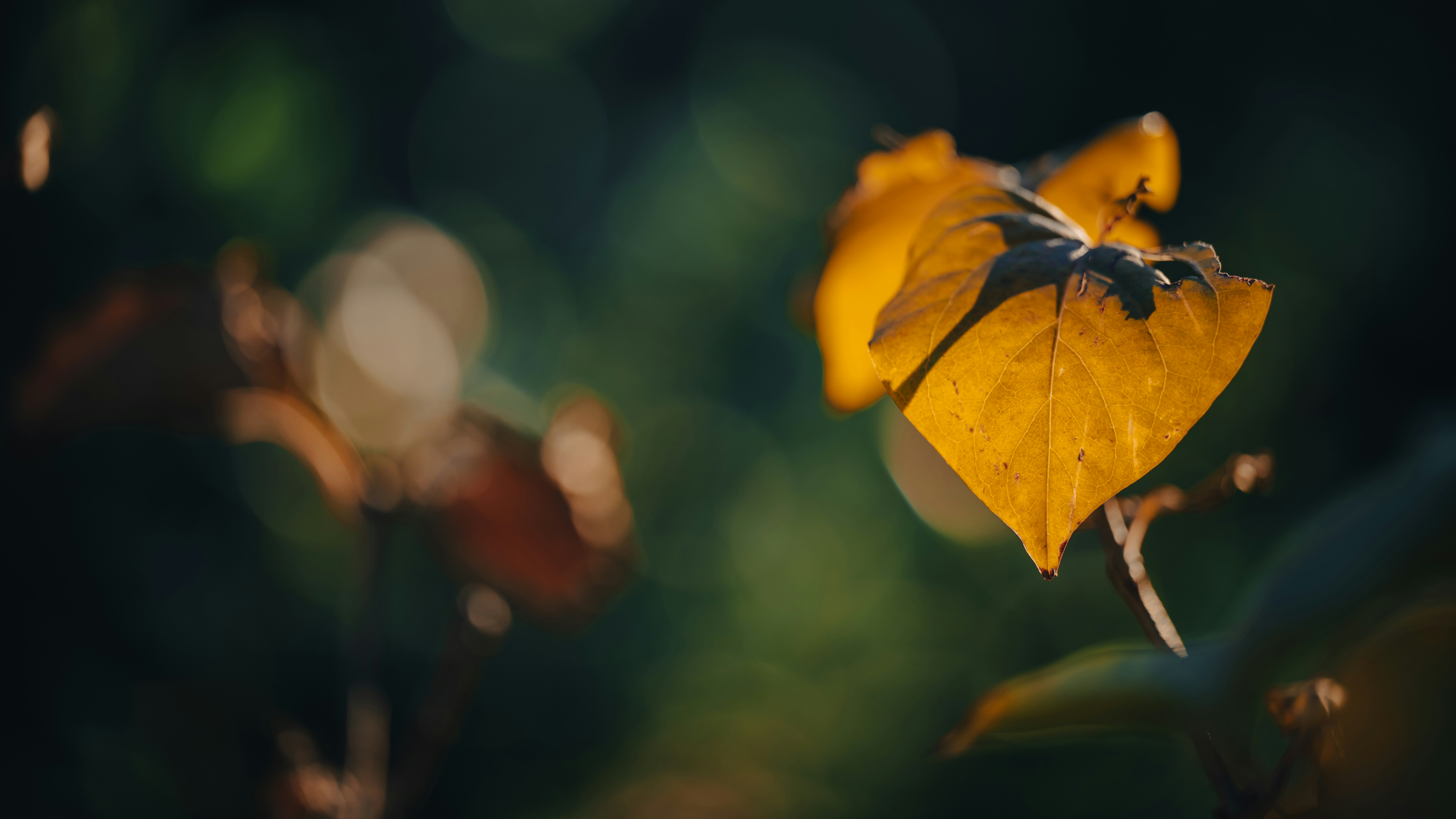 Photo by brett_yixuan