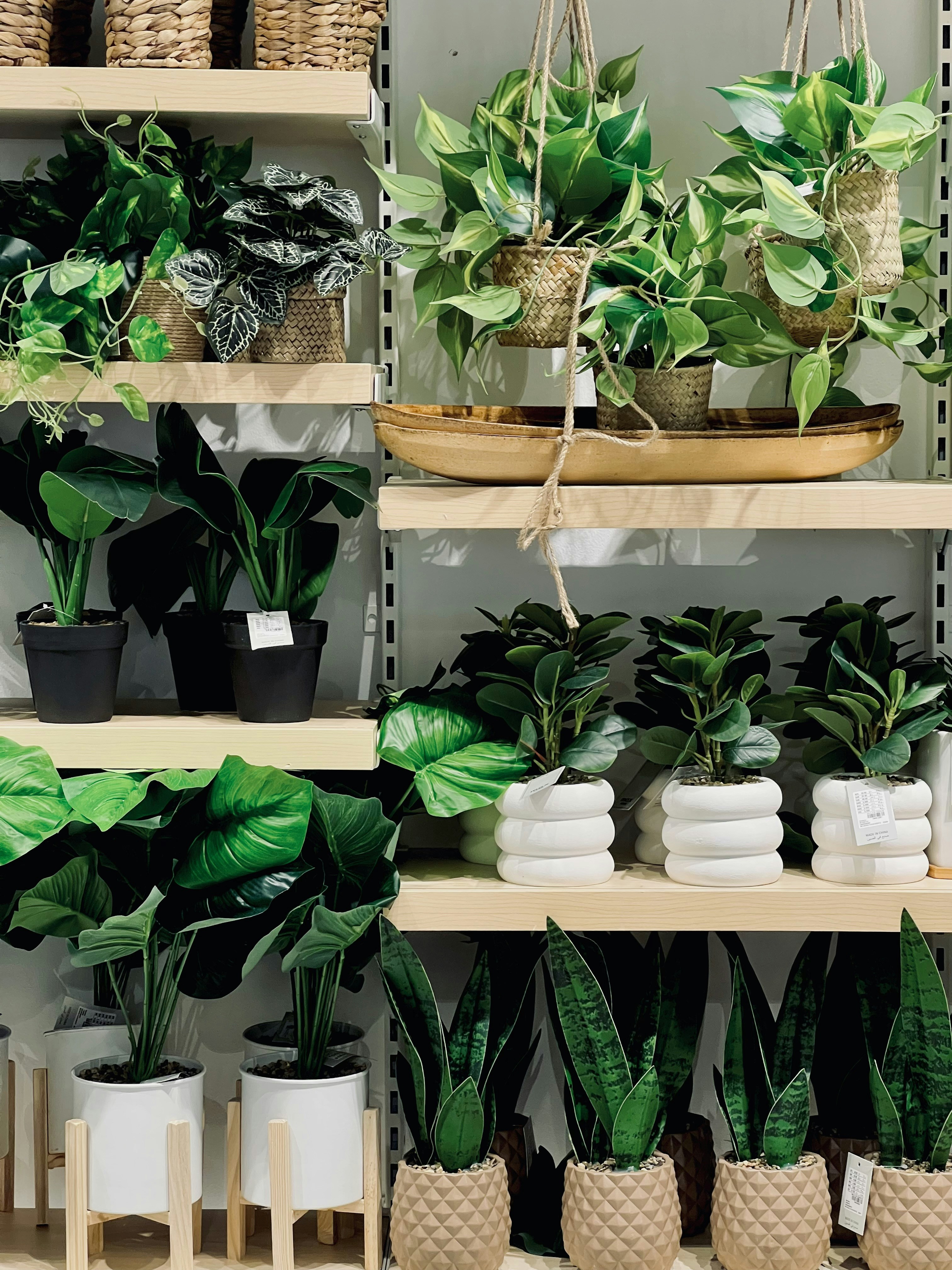 Photo by salman_sidheek