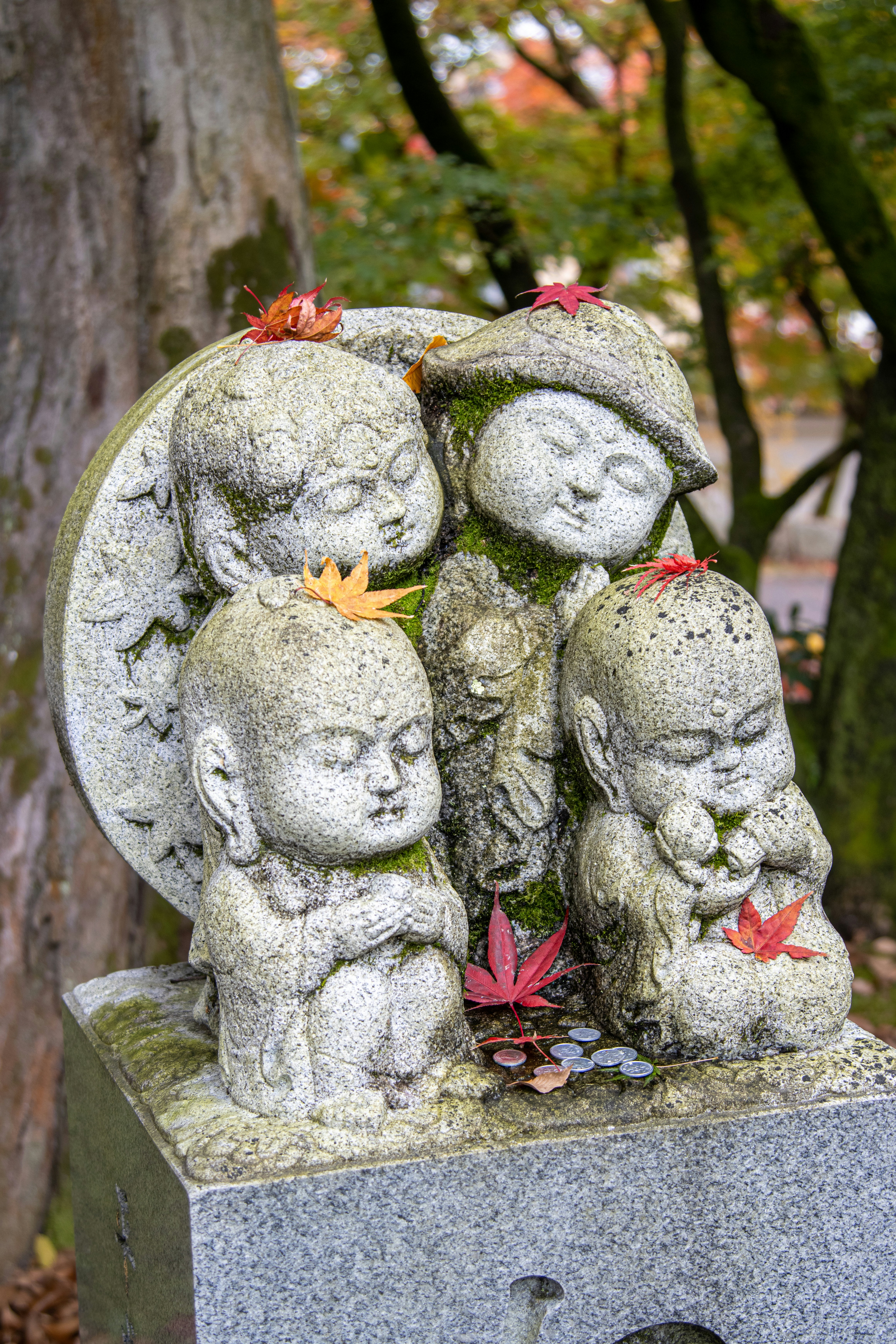 Photo by hitthetrailjack