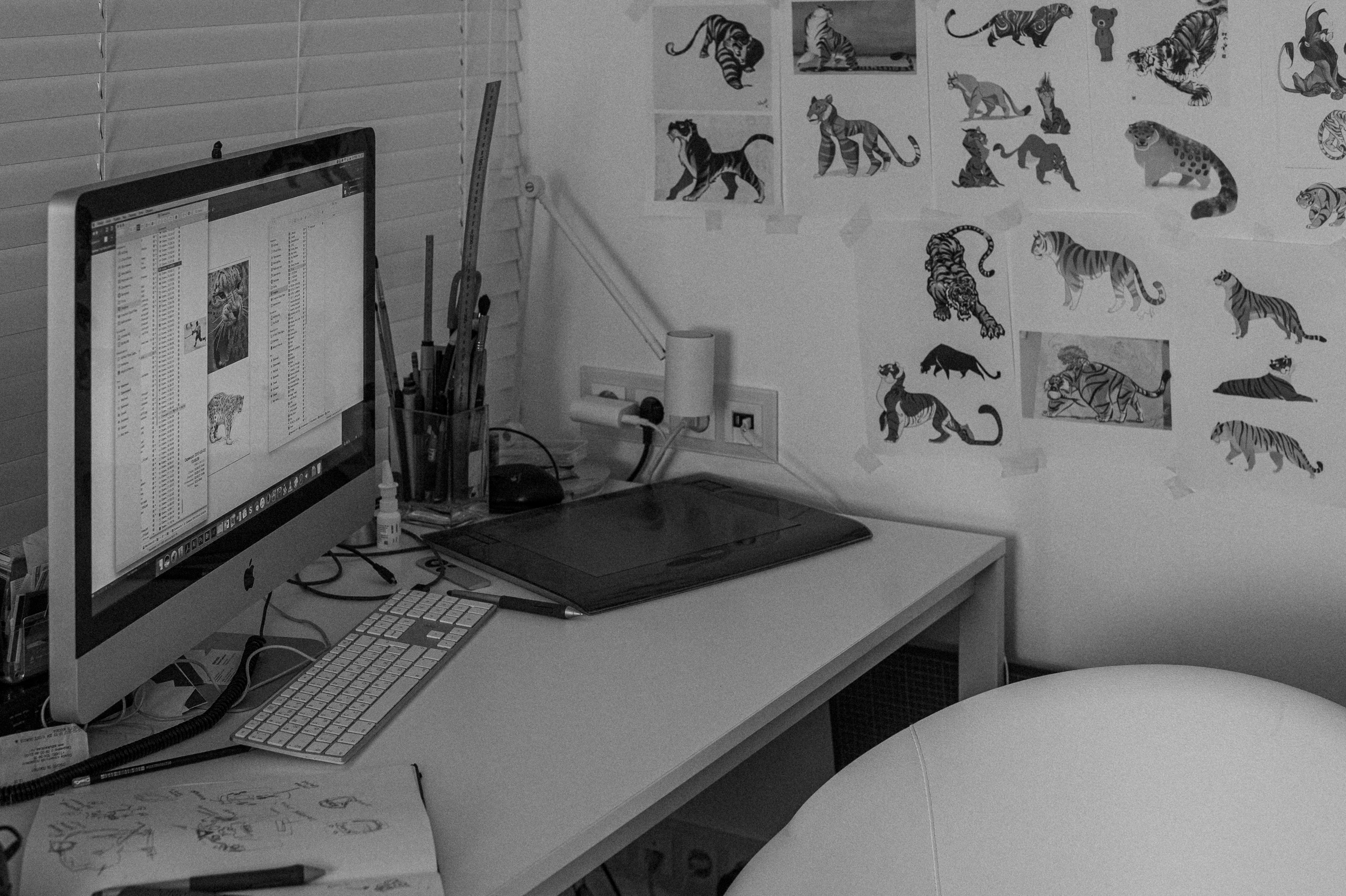 Tablets, Software, and Real Talk: What Working Illustrators Are Actually Using in 2024