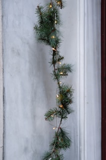 a christmas garland with lights hanging from it