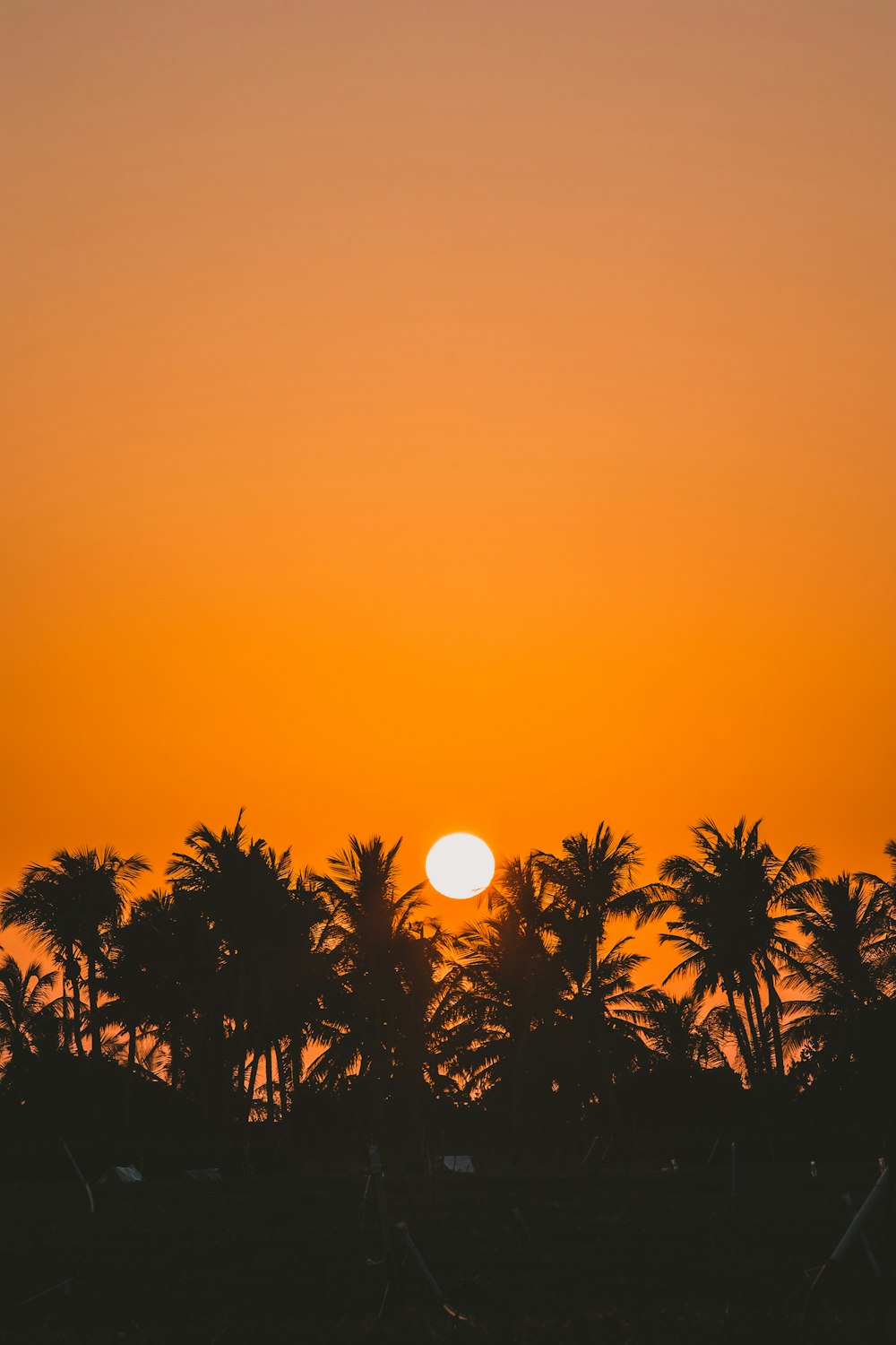 the sun is setting over the palm trees