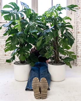 a person's feet resting on a potted plant