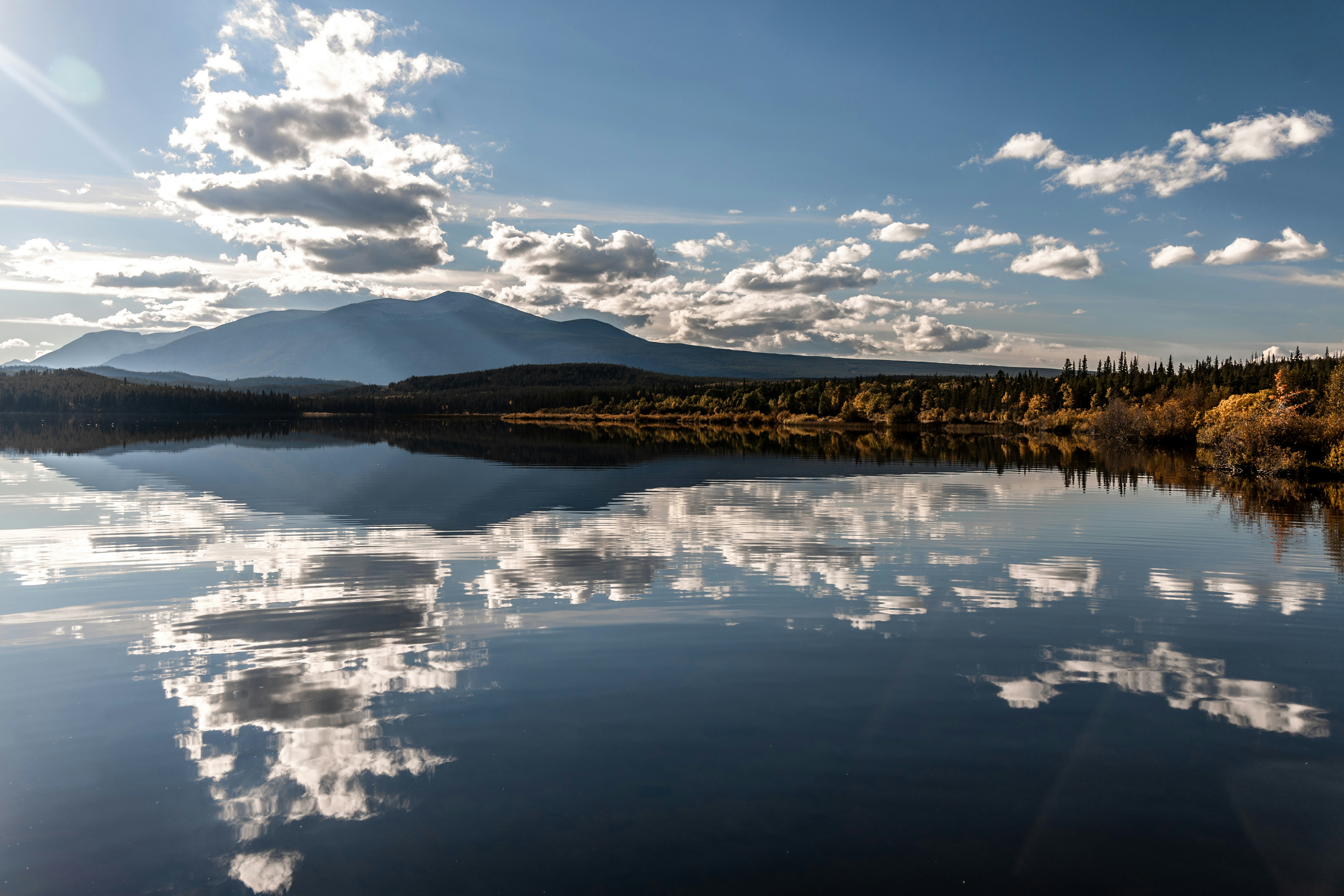 Imágenes de Kleena Kleene Descarga imágenes gratuitas en Unsplash