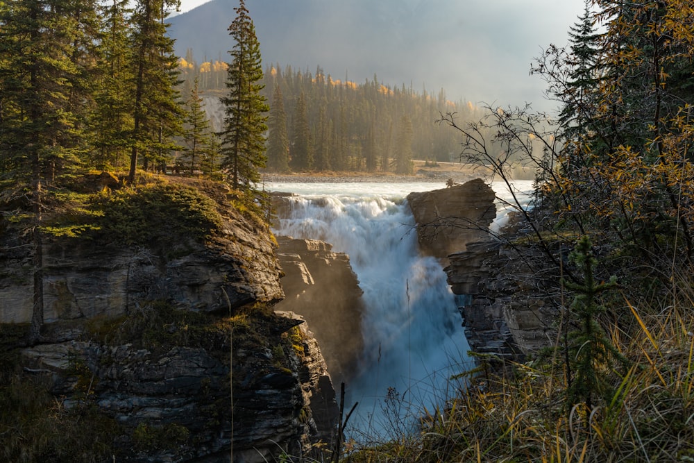 a view of a waterfall in the middle of a forest