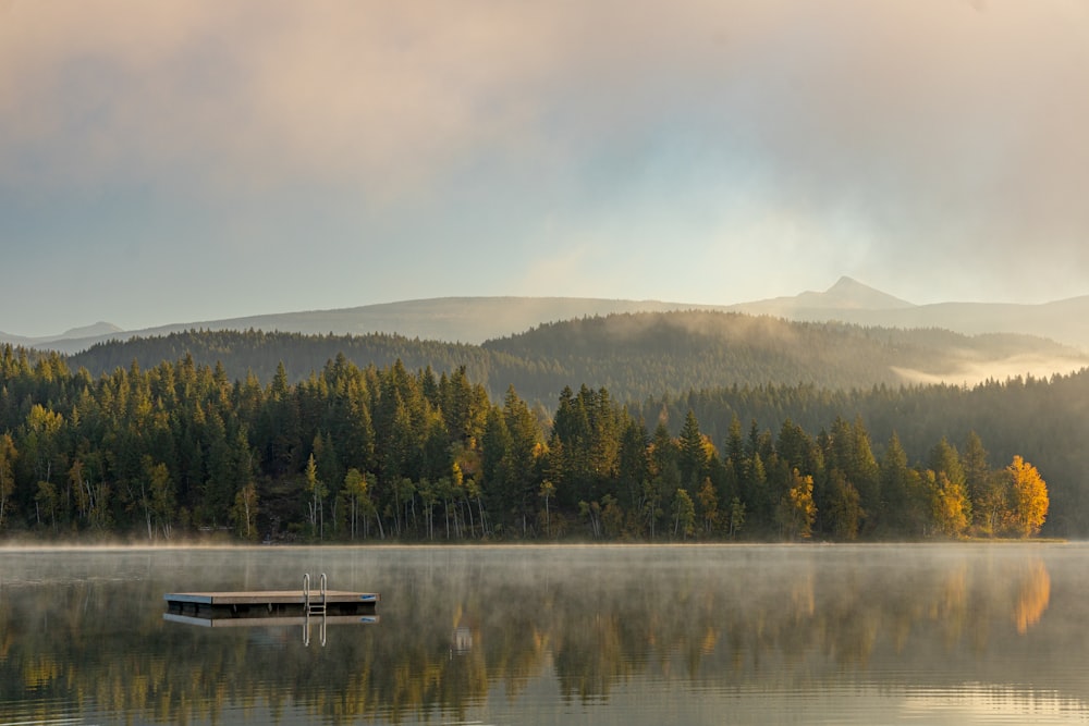 a boat floating on top of a lake next to a forest