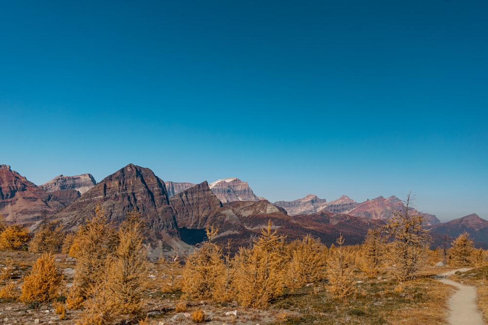 a dirt path in front of a mountain range