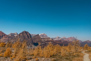 Autumn Mountain Glow
