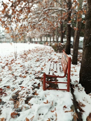 A vibrant scarf draped over a park bench dusted with fresh snow.