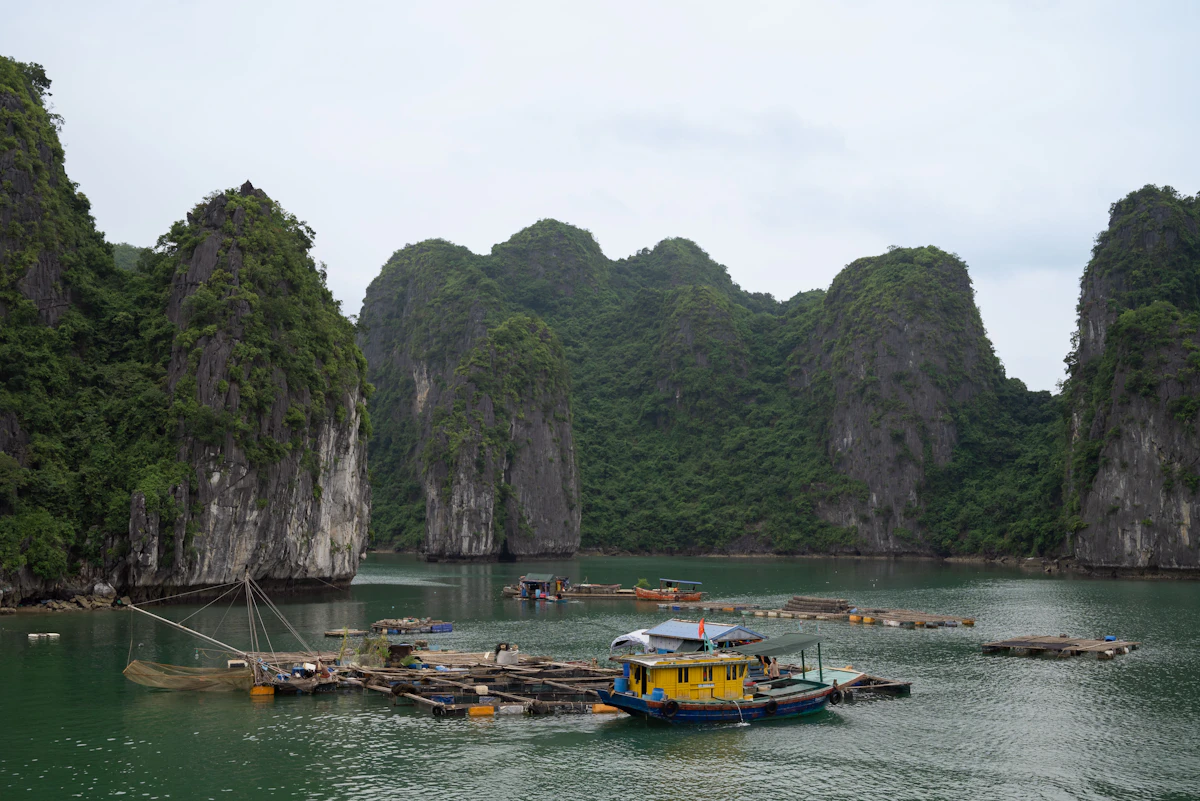 Cai Beo Ancient Floating Fishing Village Cat Ba