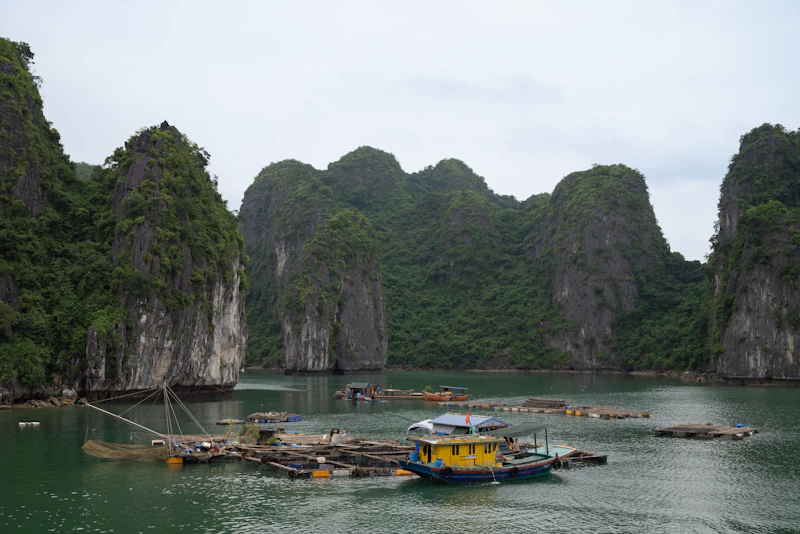 Lan Ha Bay