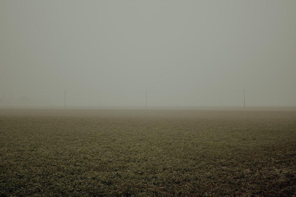 a foggy field with three wind mills in the distance