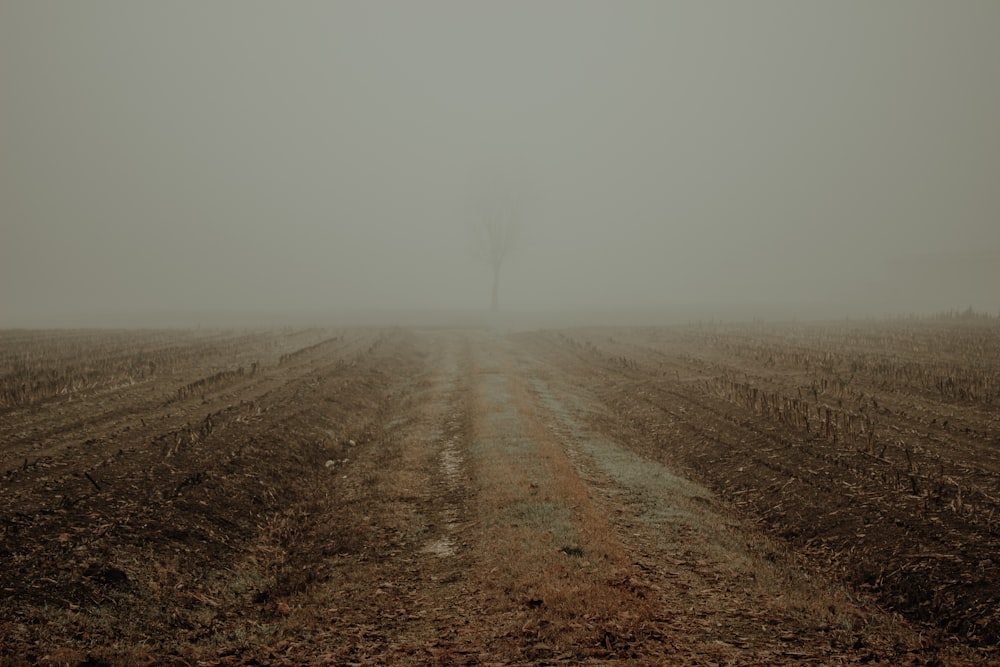 a dirt road in the middle of a field