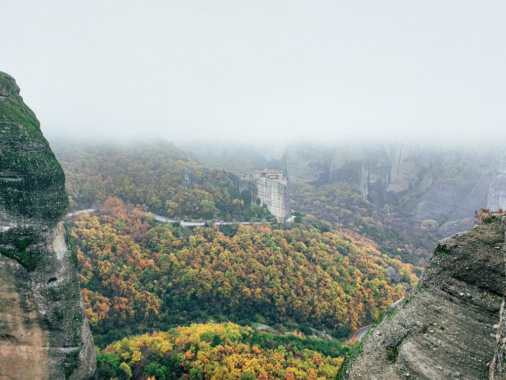 a man standing on top of a cliff next to a lush green forest