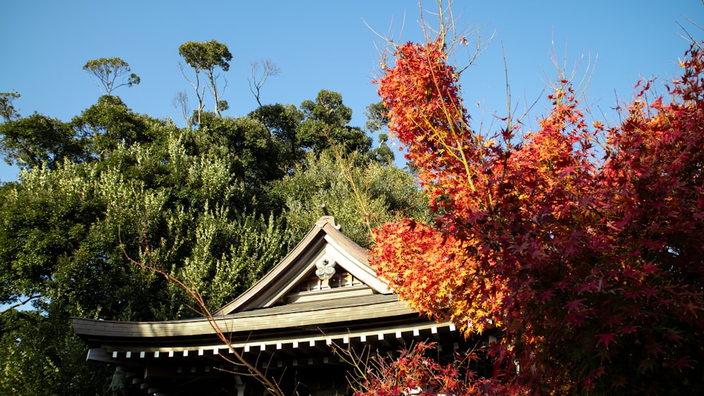 a house with a roof and a tree in the background