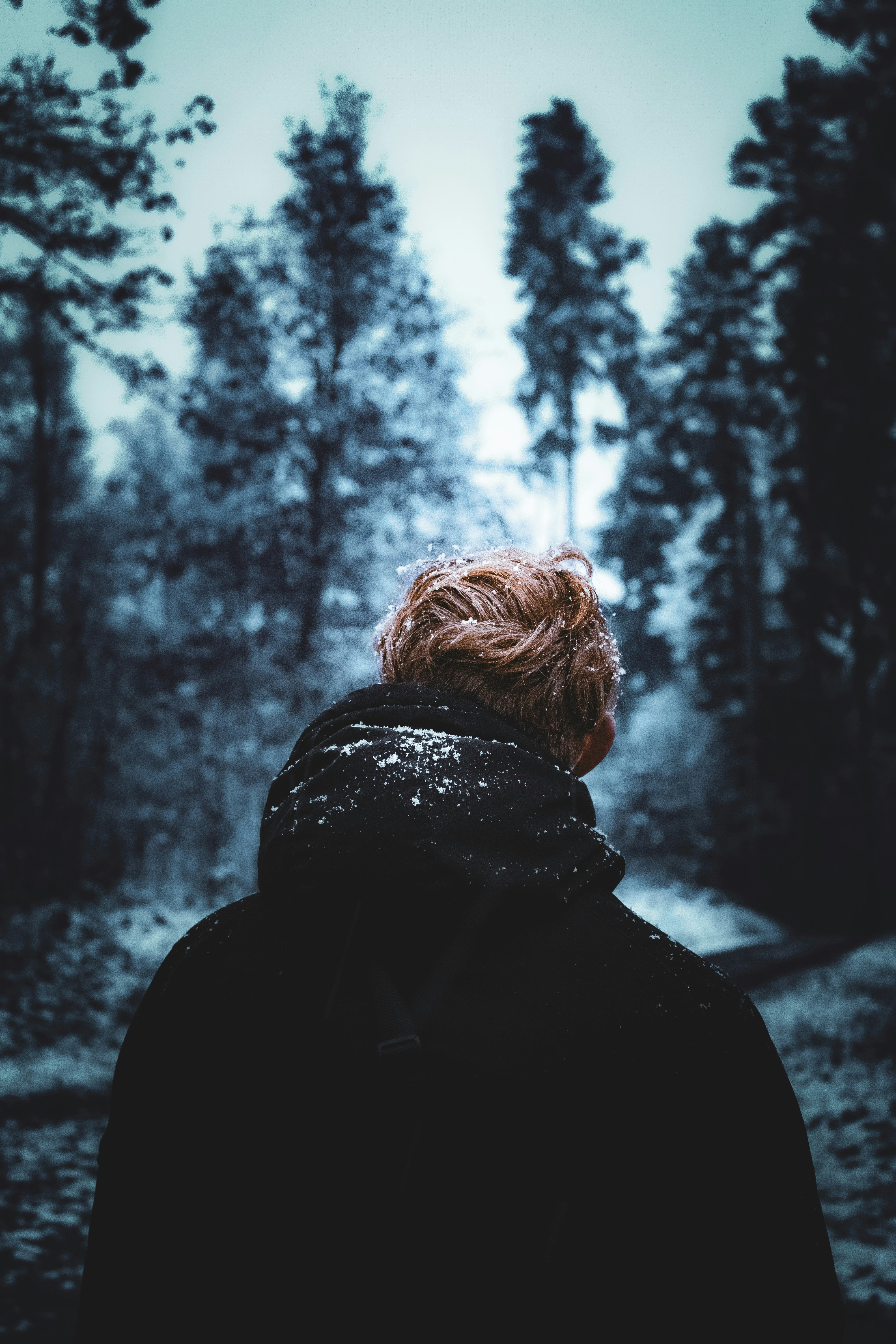 Photo by watchelijah