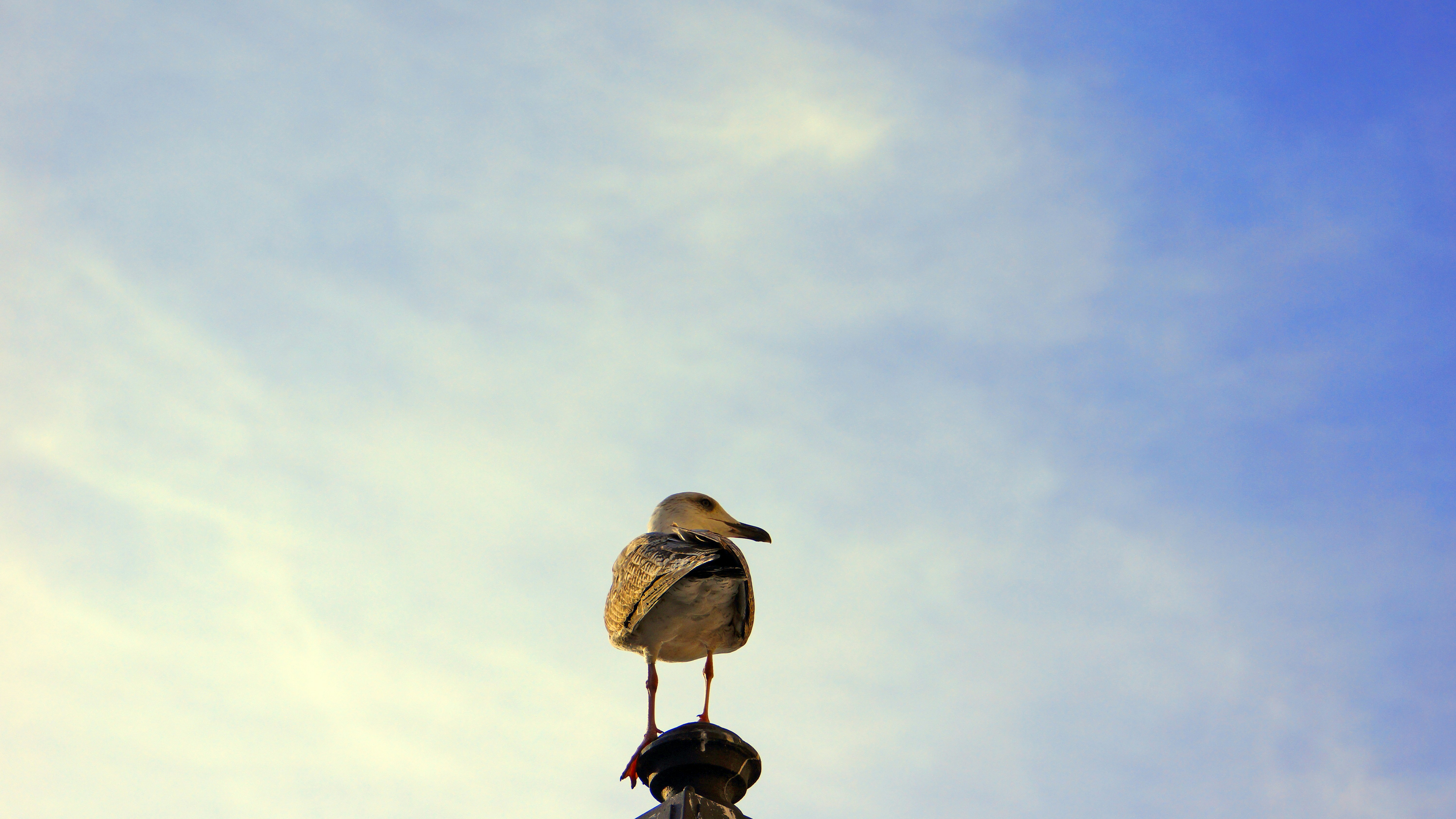 Photo by borisview