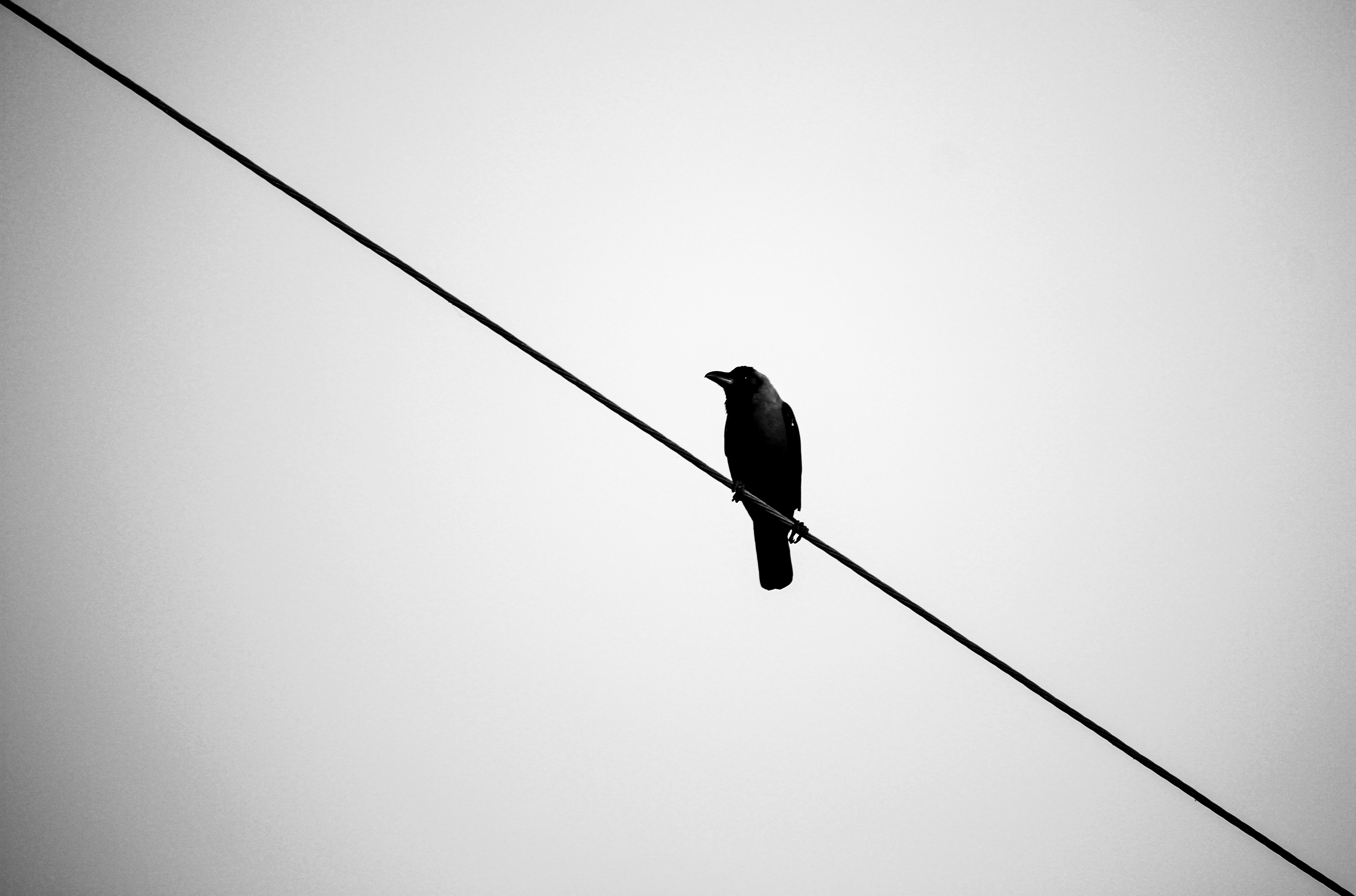 Photo by beingfarooq247365