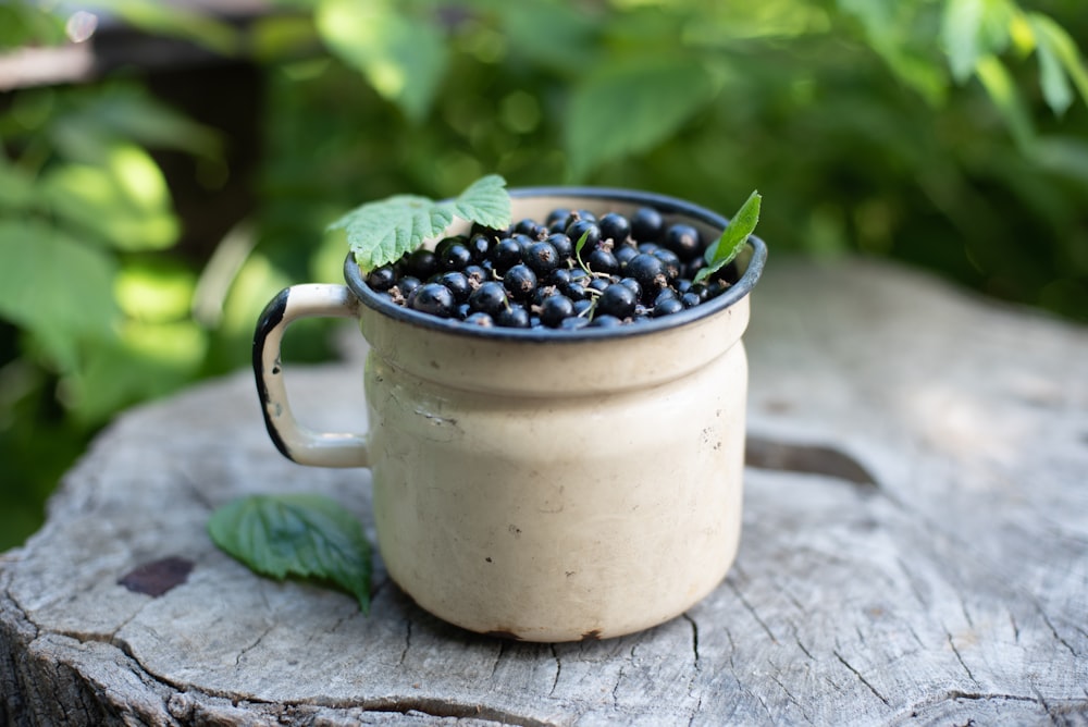 une tasse remplie de bleuets assis au sommet d’une souche d’arbre