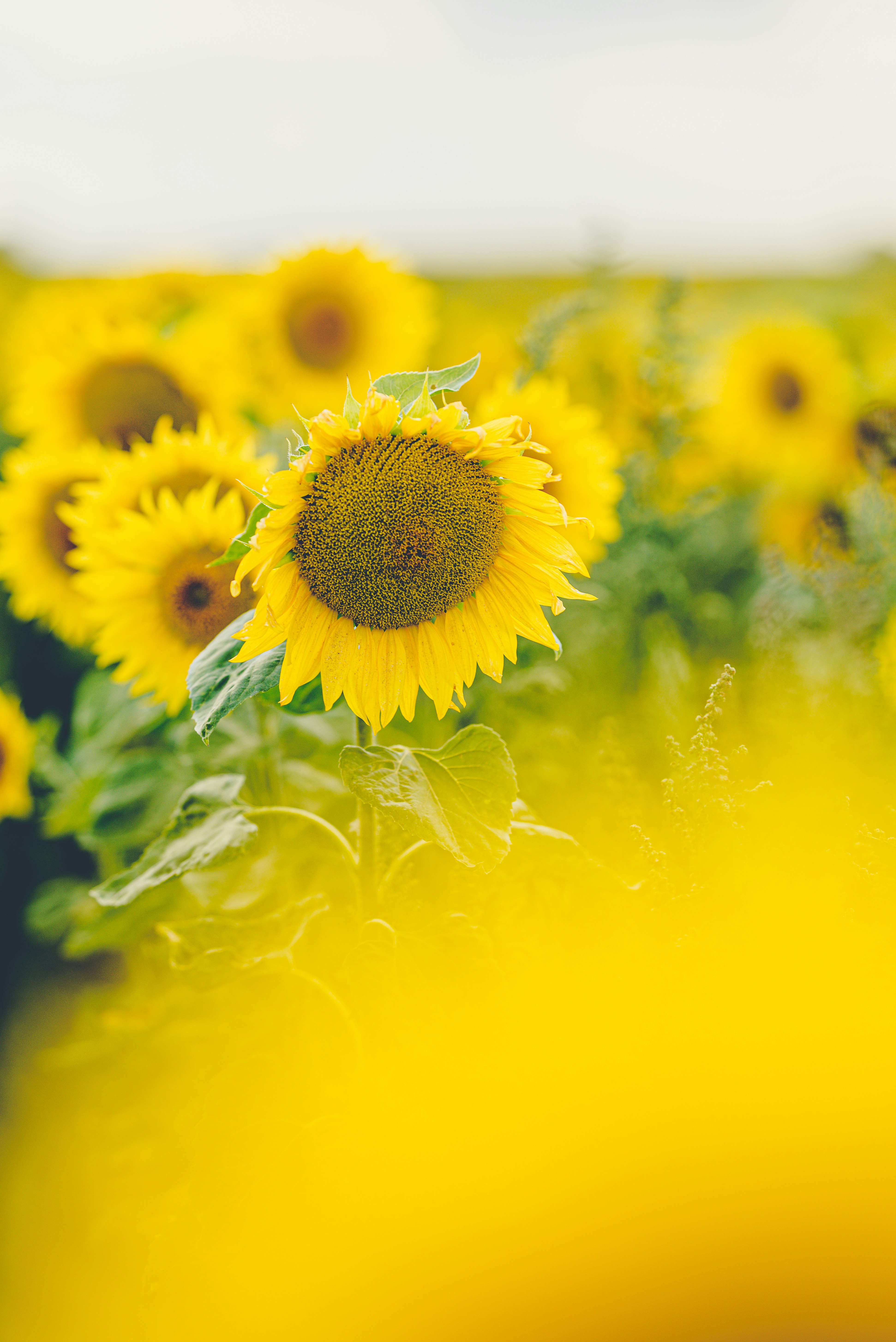 Photo by joanna_stolowicz