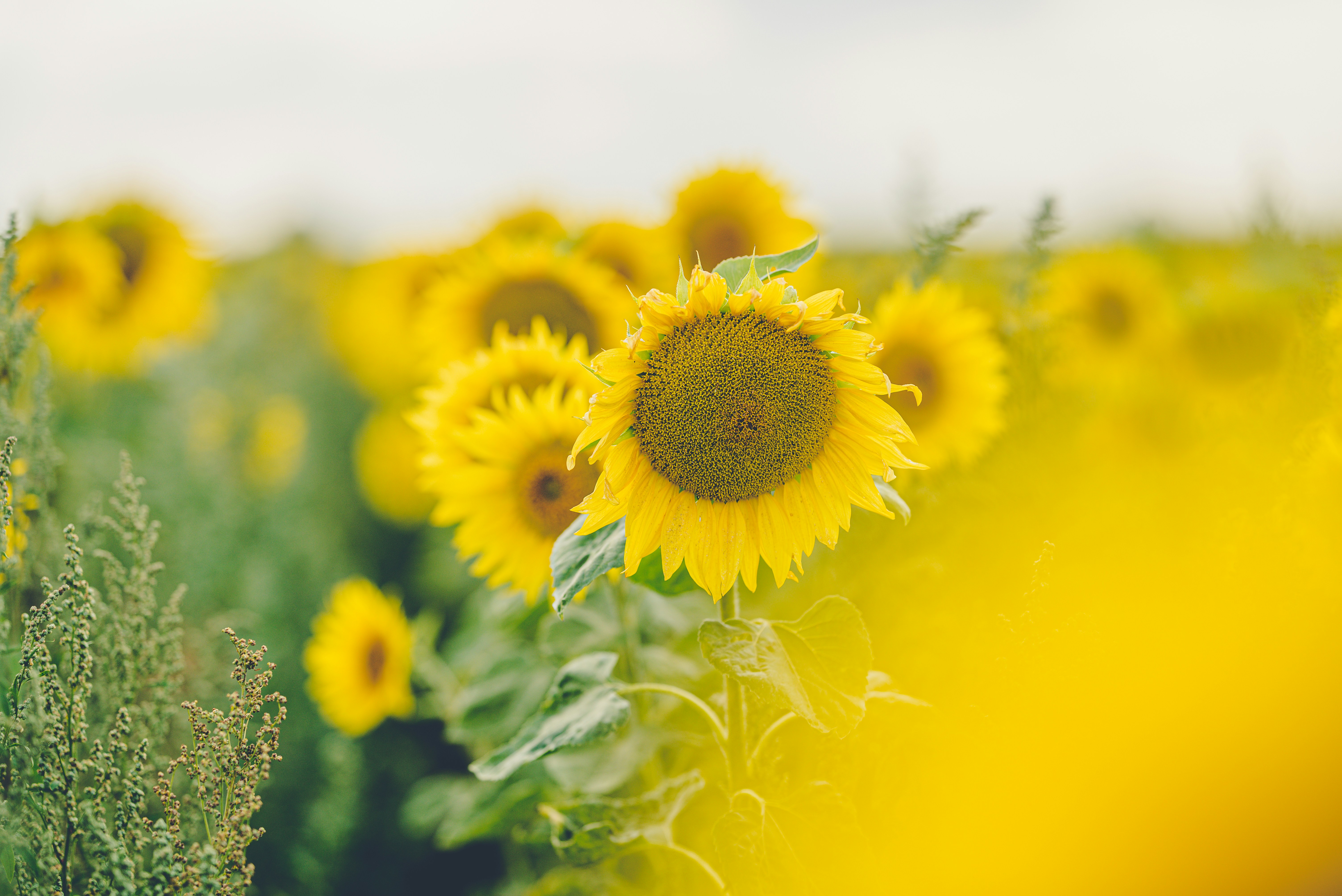 Photo by joanna_stolowicz