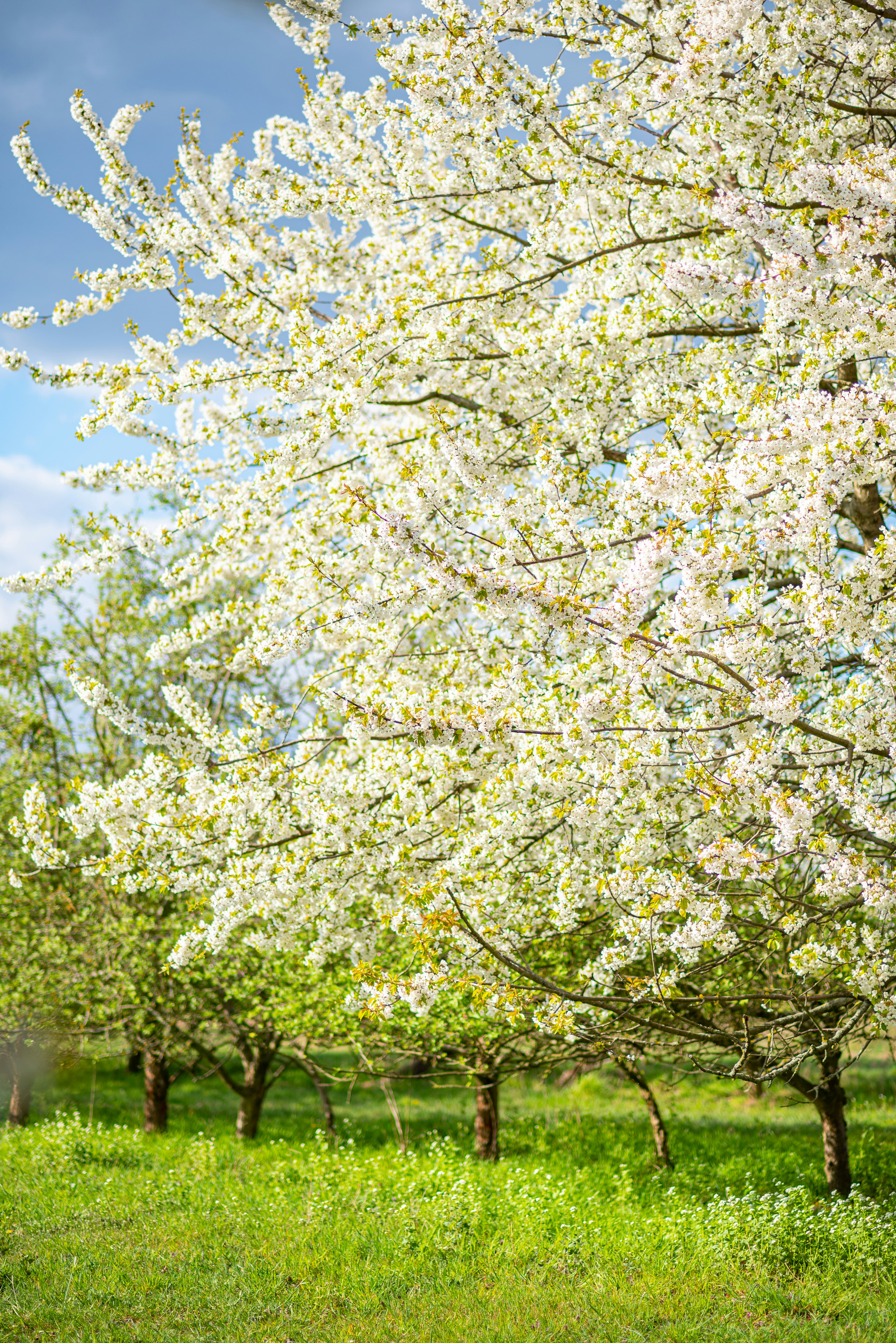 Photo by joanna_stolowicz