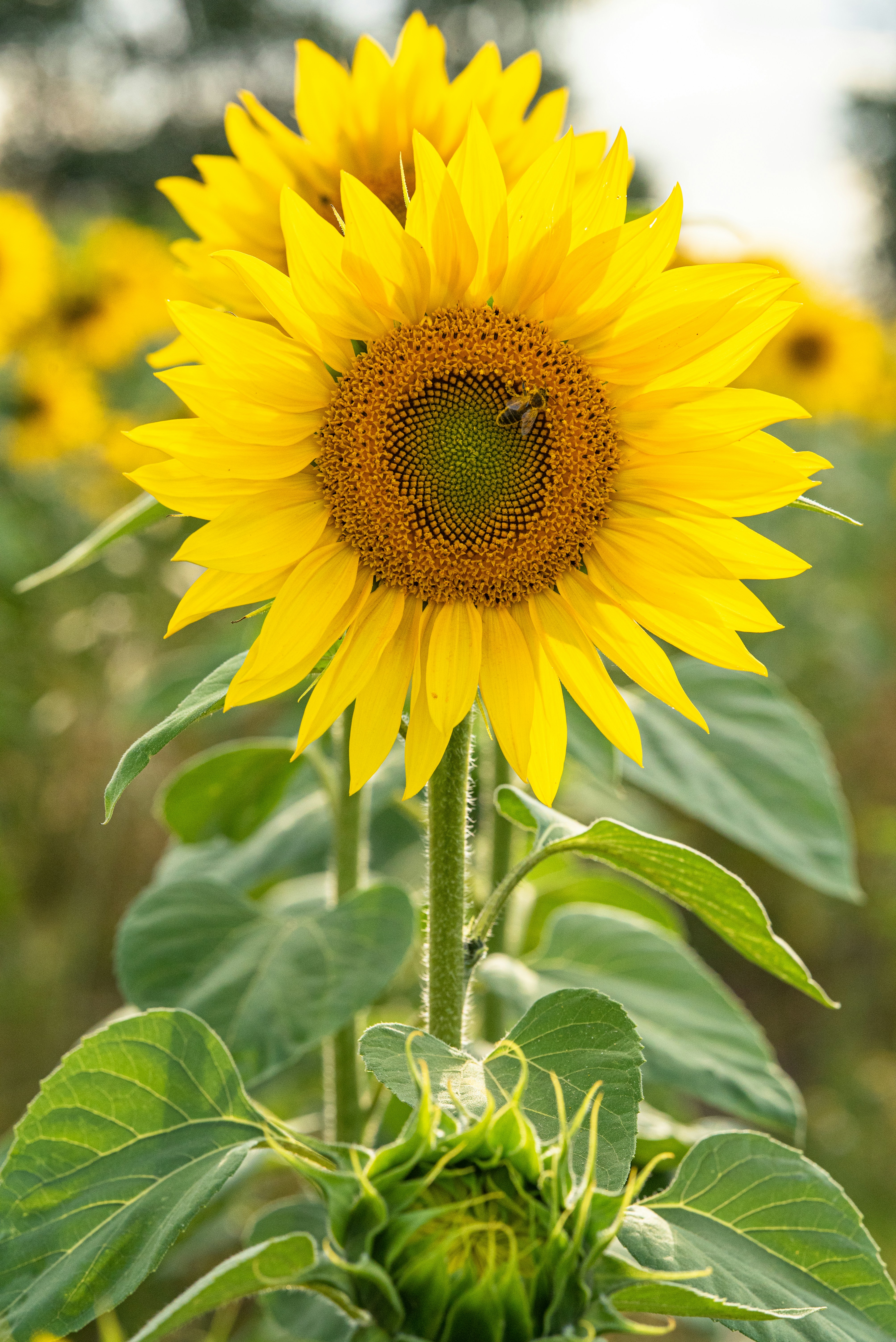 Photo by joanna_stolowicz