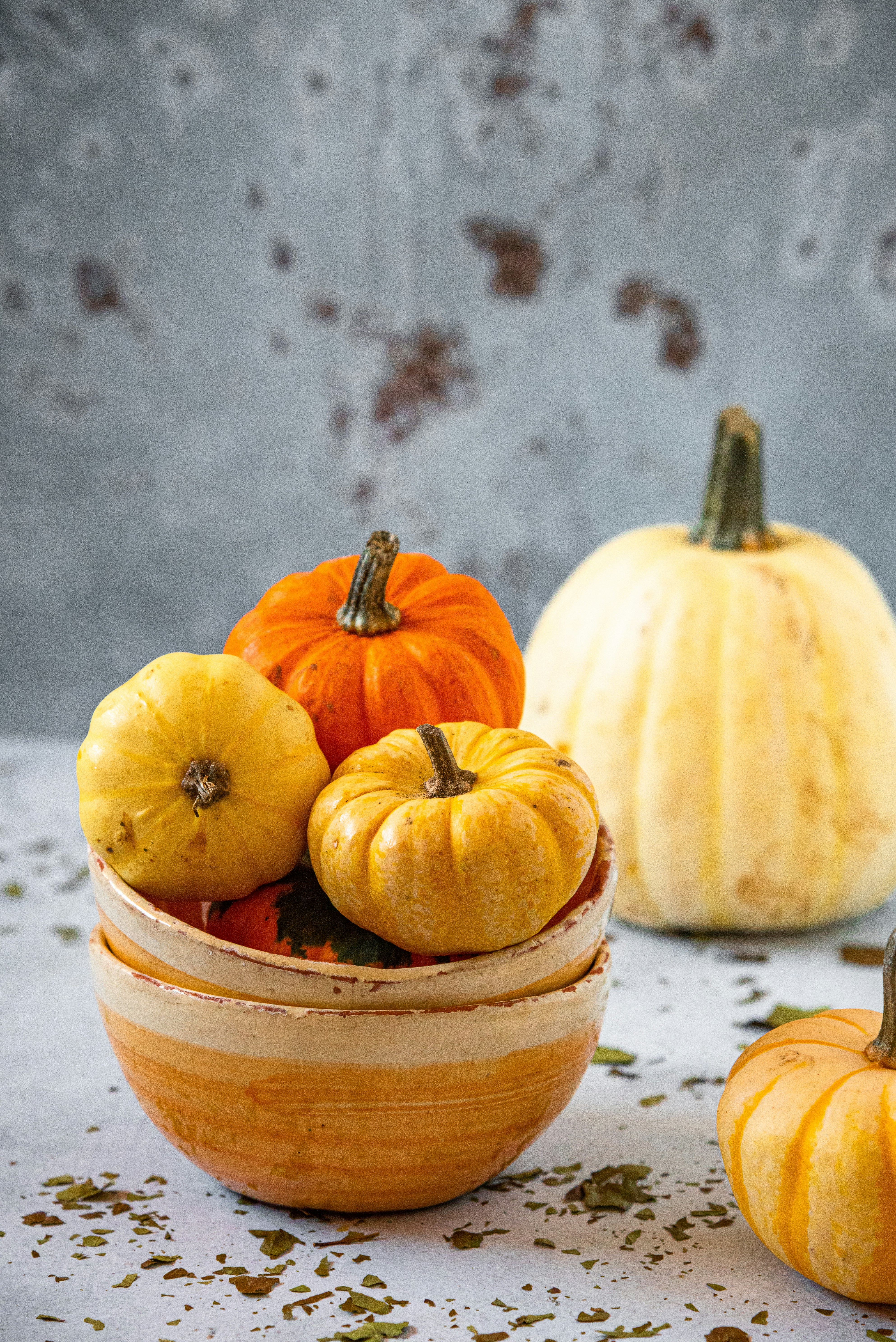 Photo by joanna_stolowicz