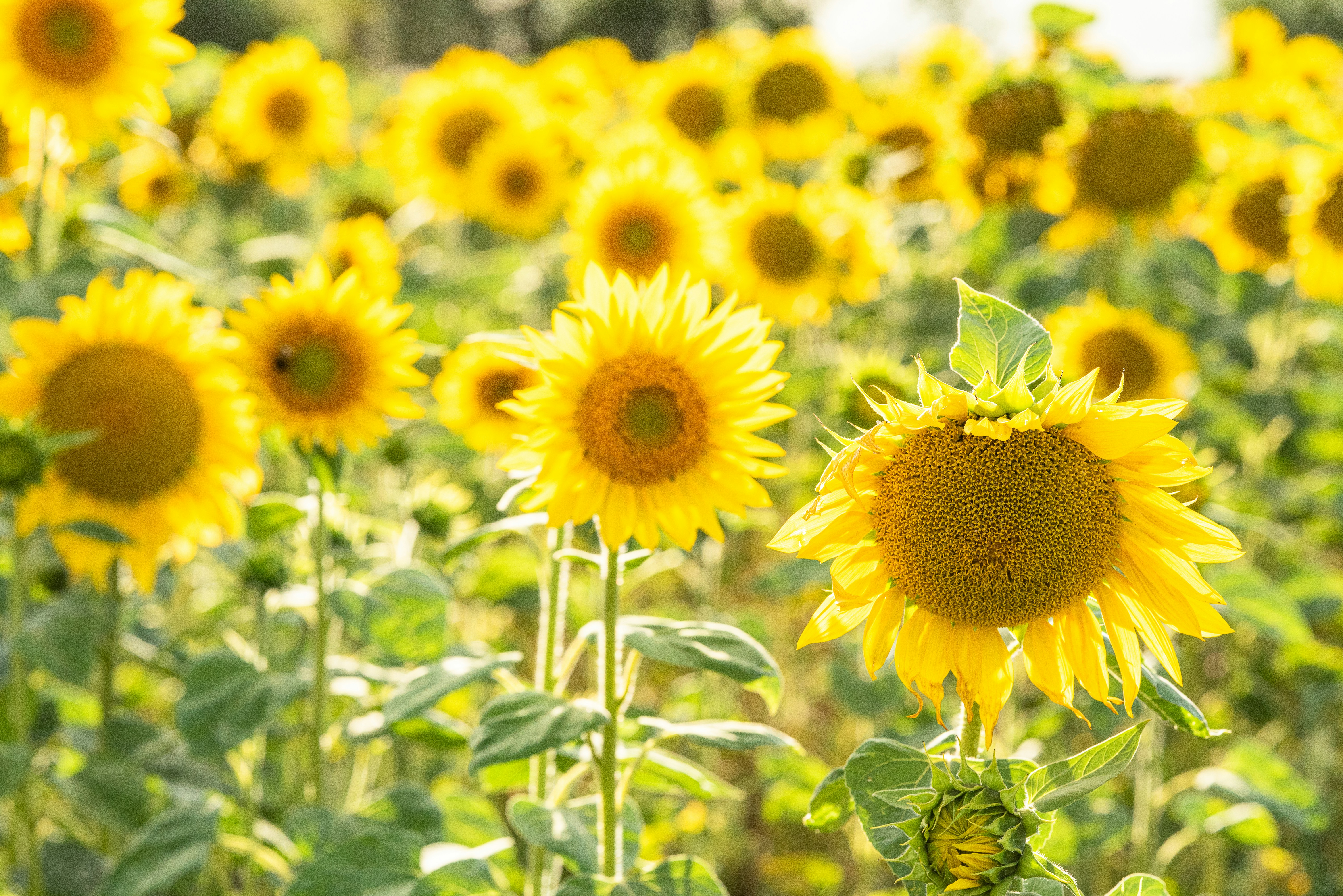 Photo by joanna_stolowicz