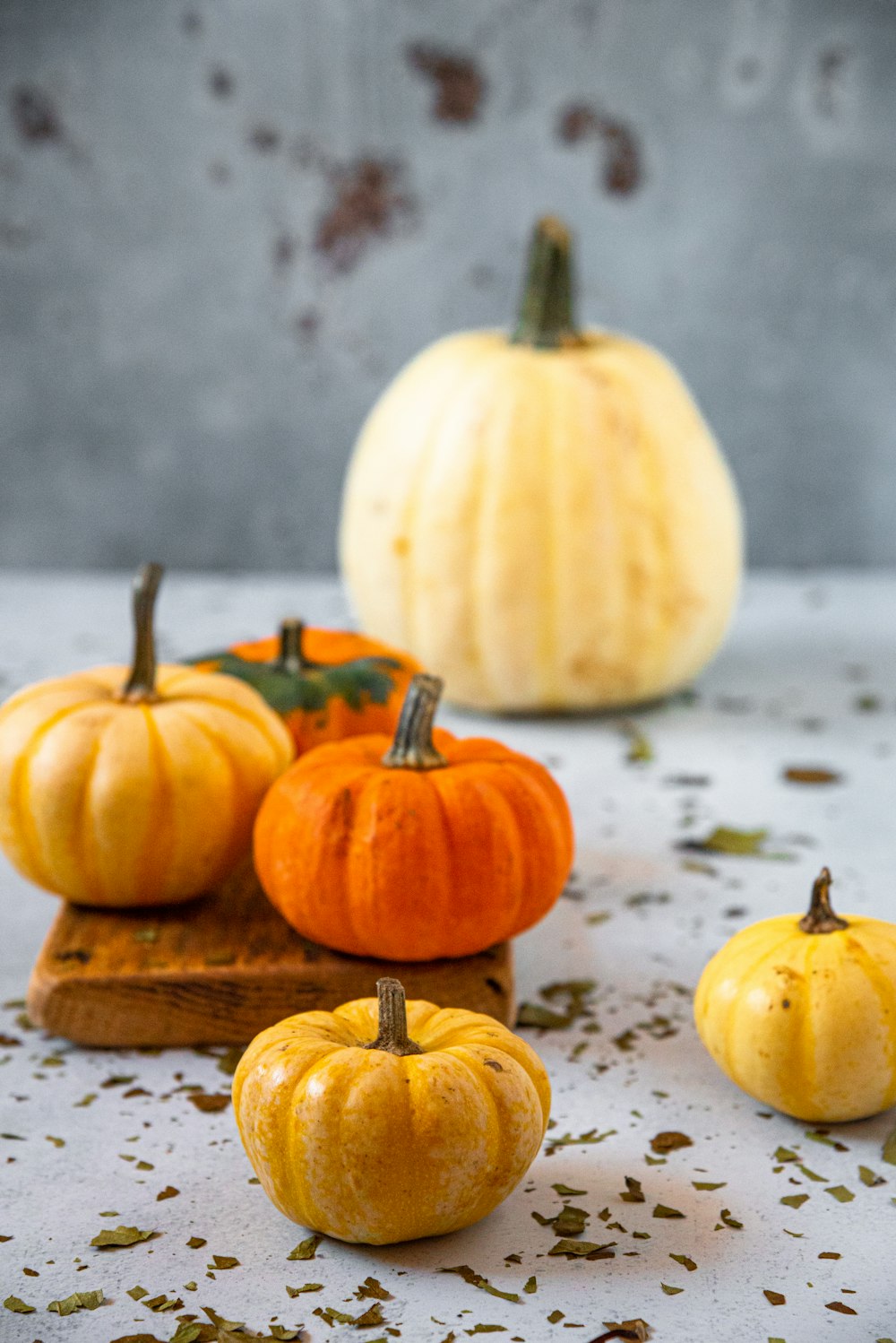 a group of pumpkins sitting on top of a table