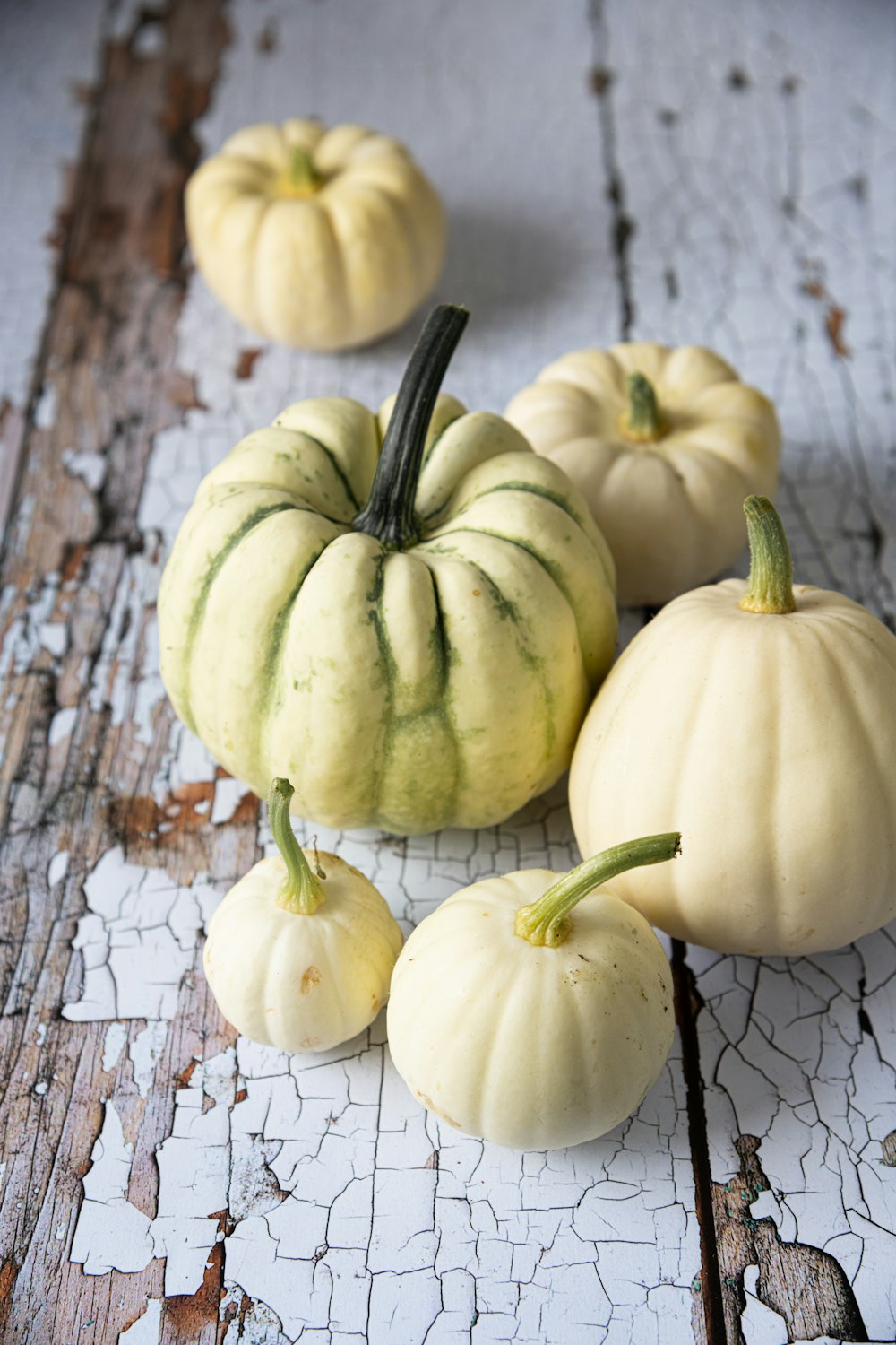 a group of pumpkins sitting on top of a wooden table