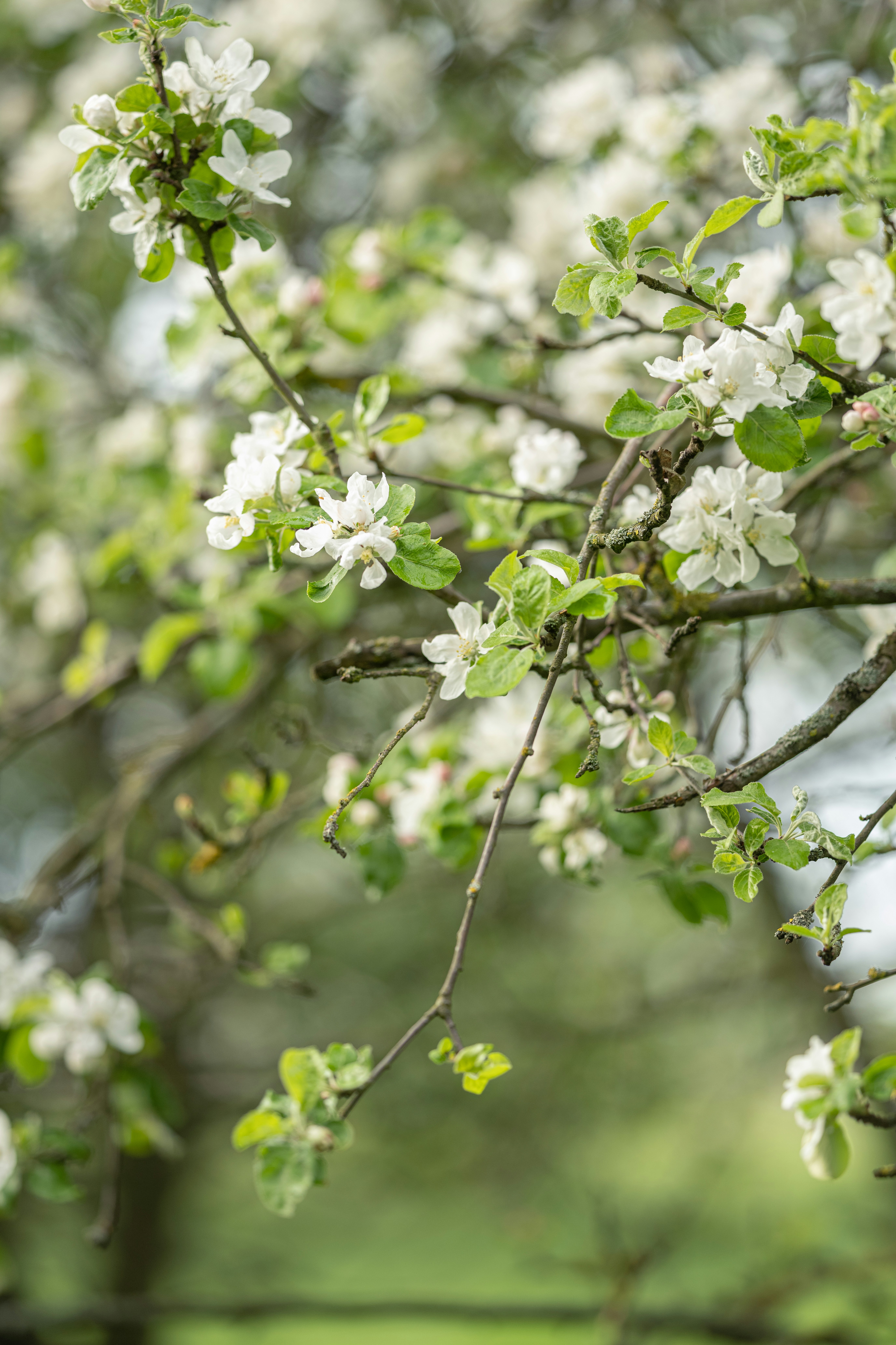 Photo by joanna_stolowicz