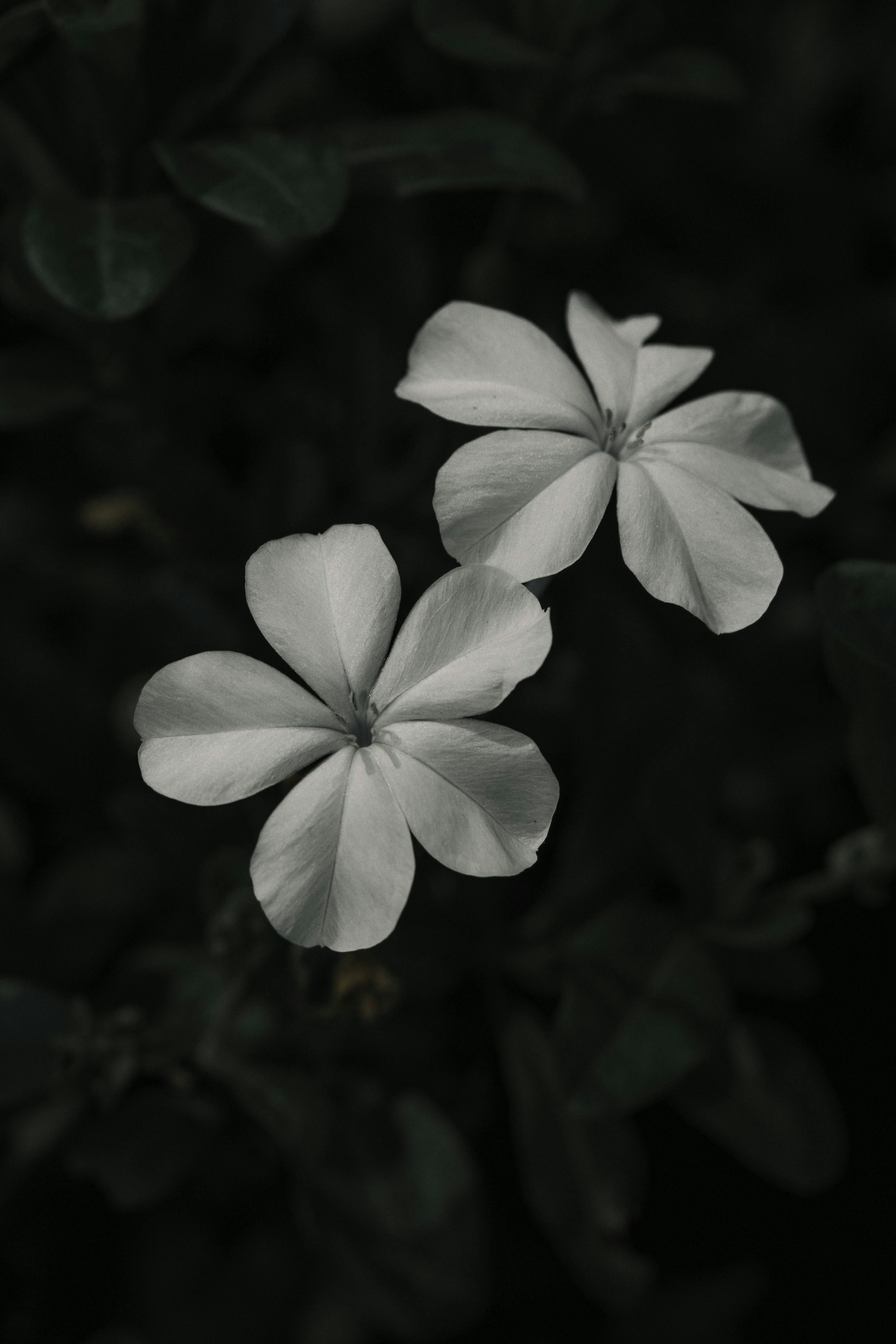 Photo by parthc21