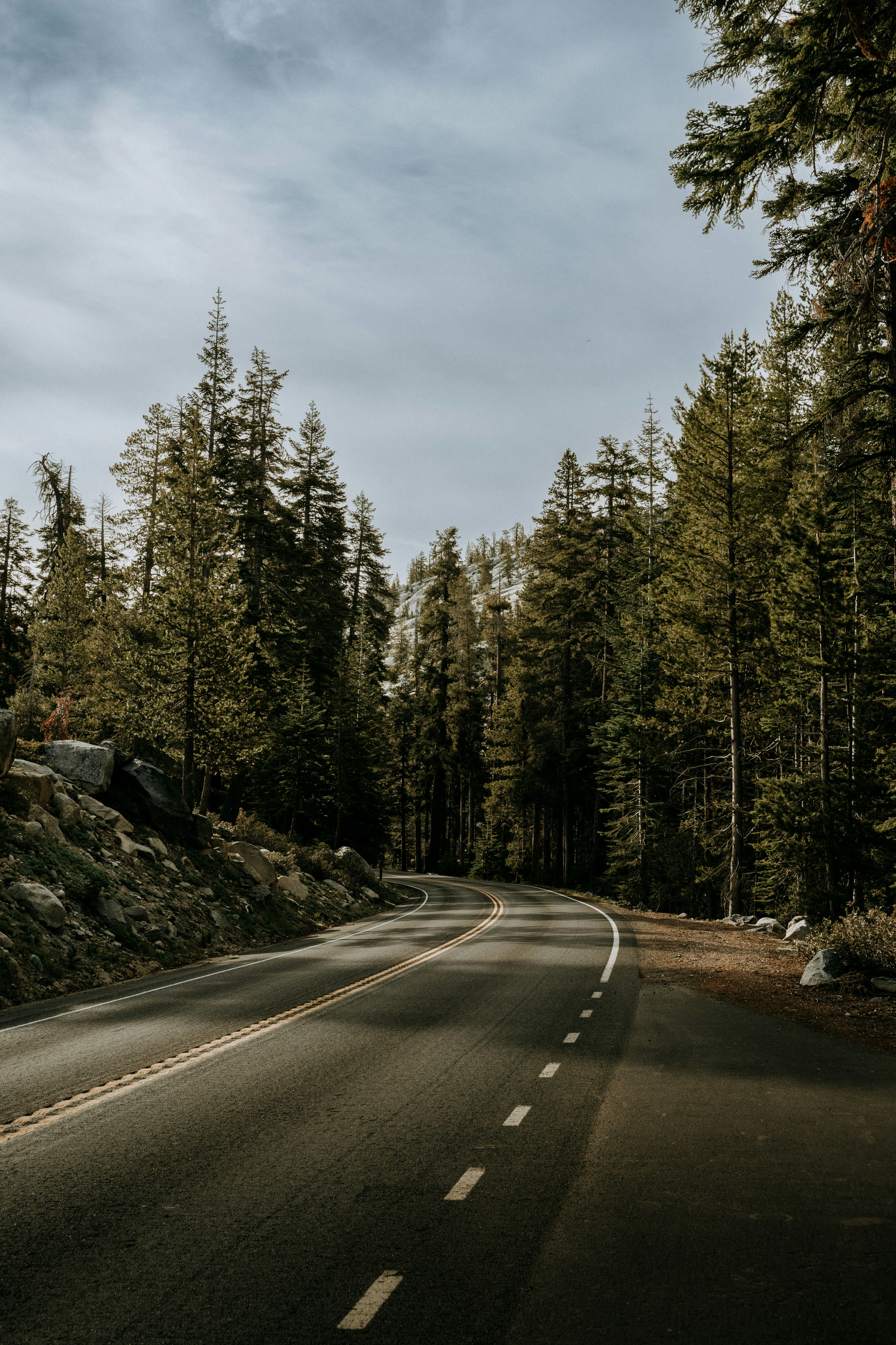 an empty road in the middle of a forest