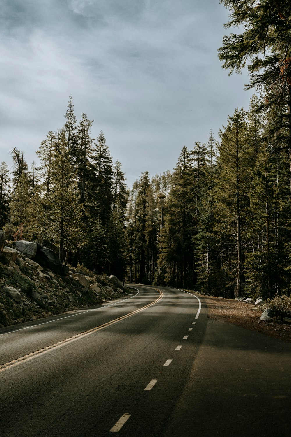 an empty road in the middle of a forest