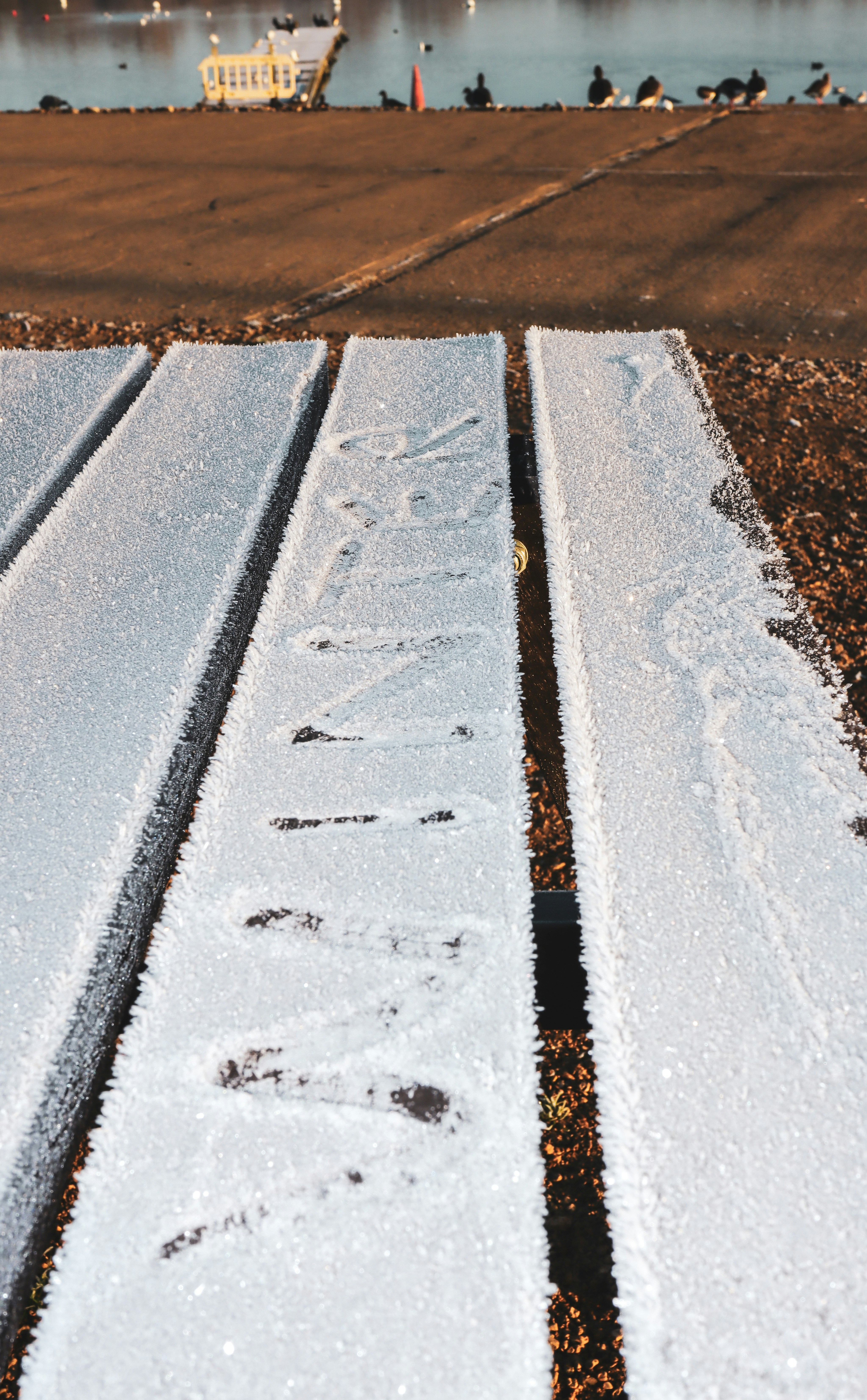 Photo by grievek1610begur