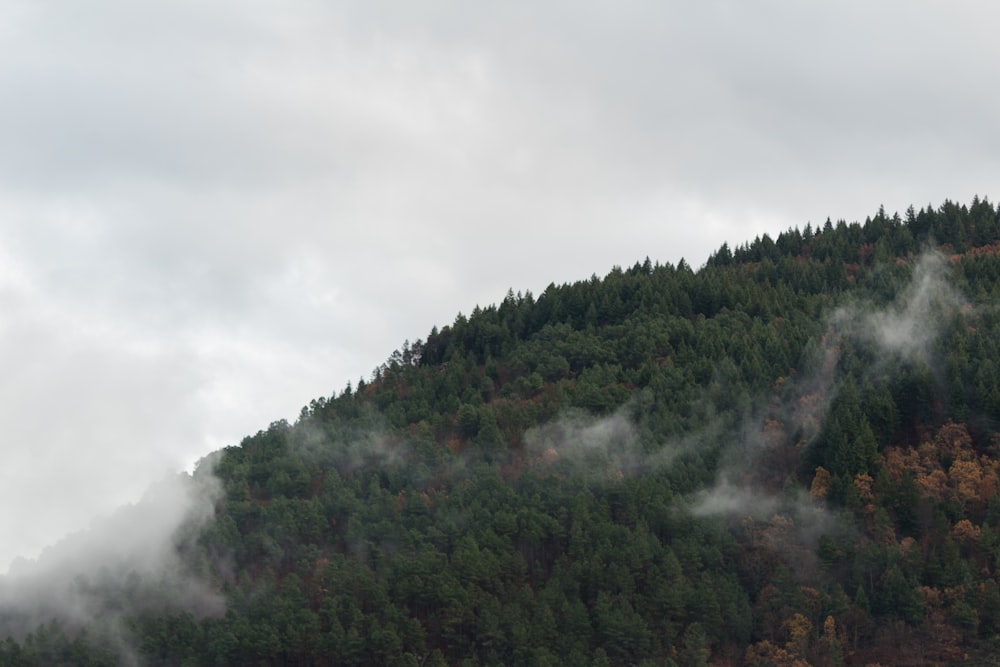 a mountain covered in clouds and trees on a cloudy day