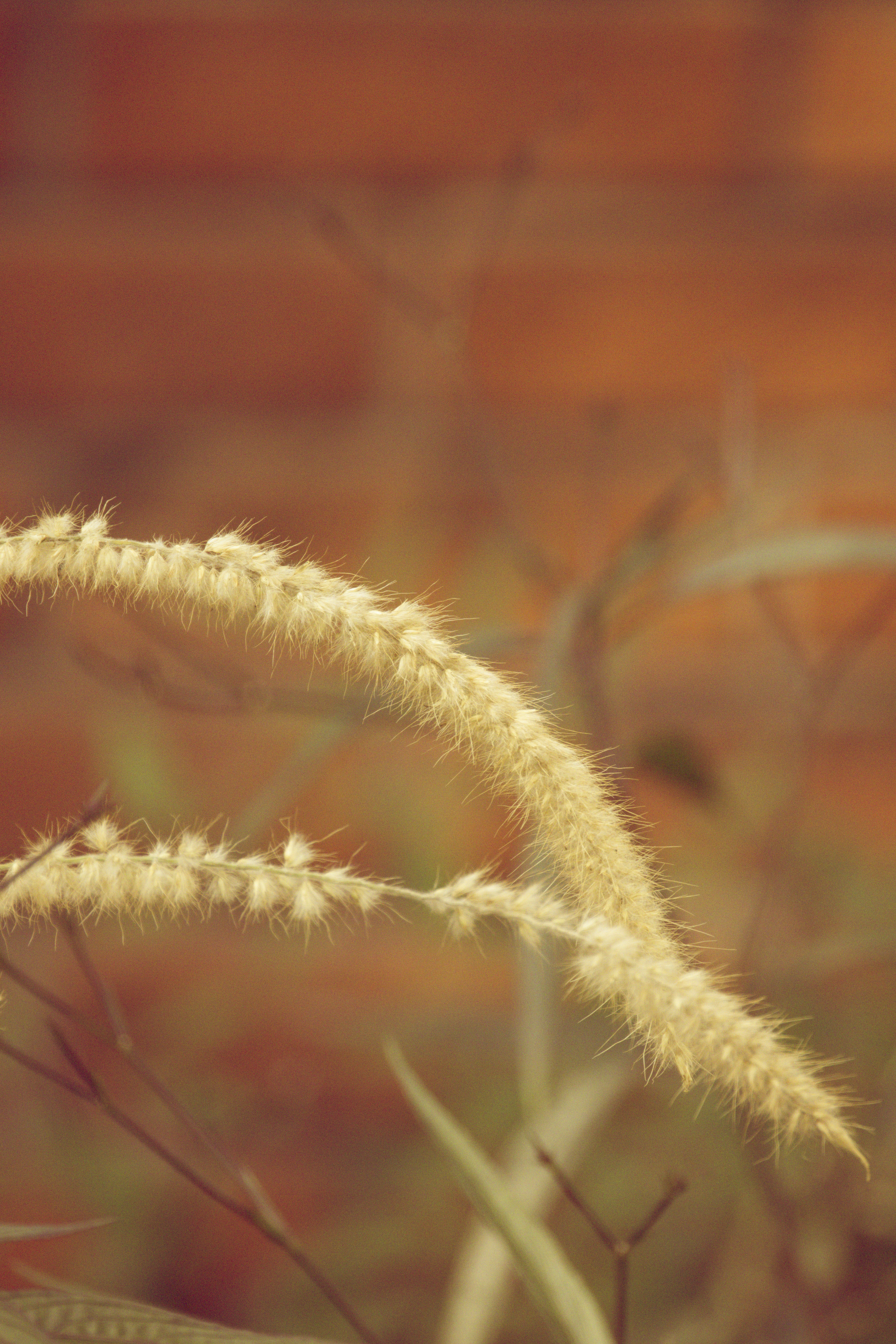 Photo by arttoinspire